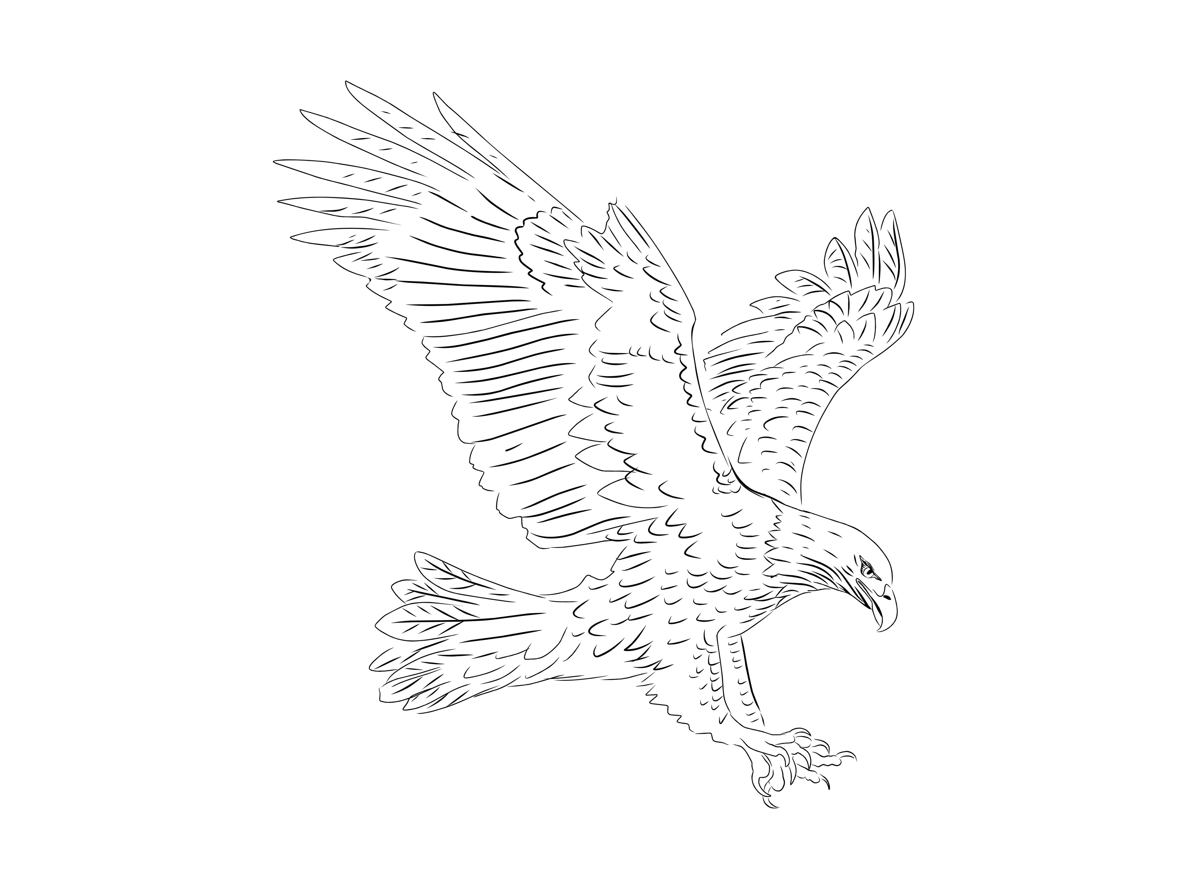 Eagle