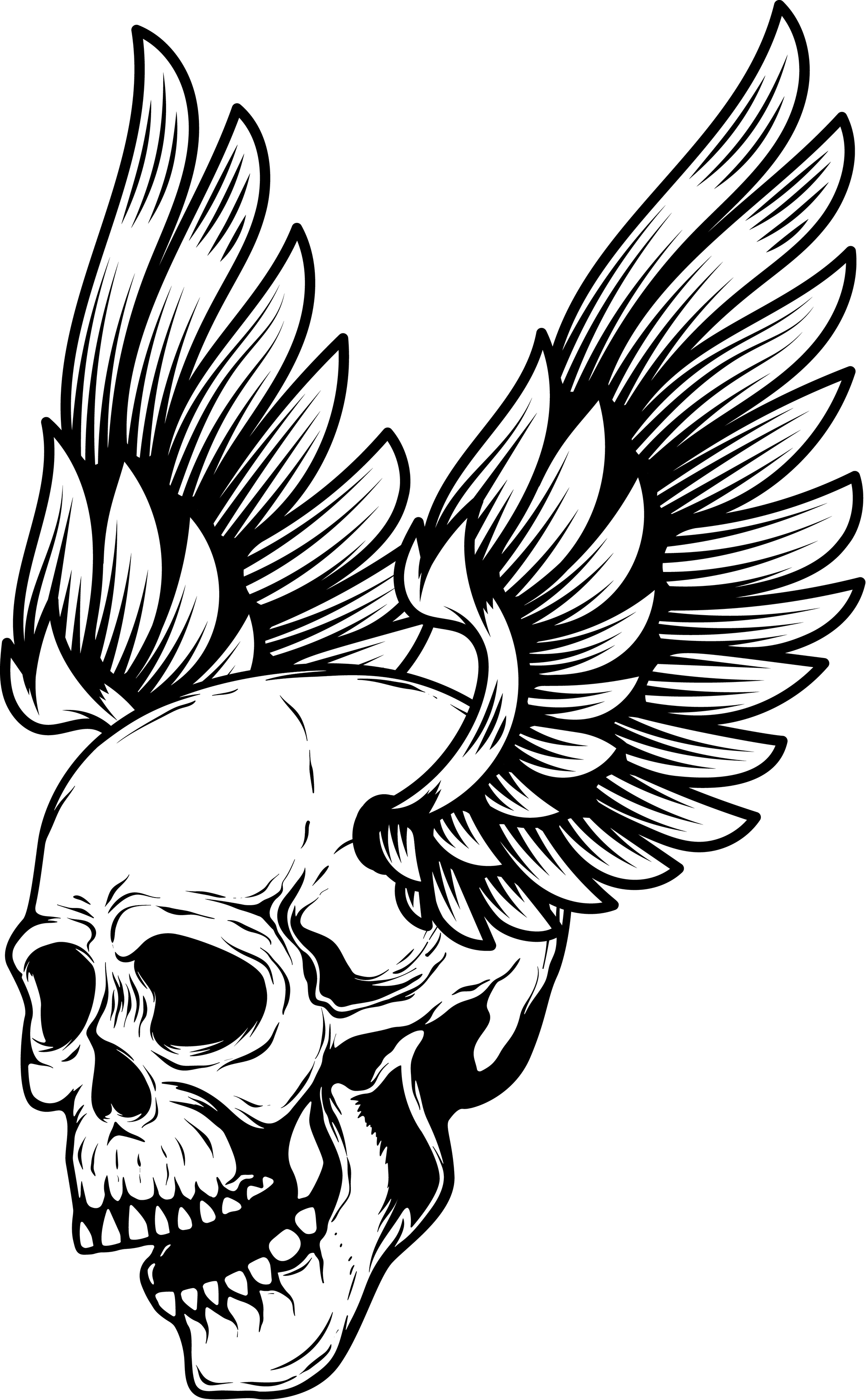 Skull with Wings