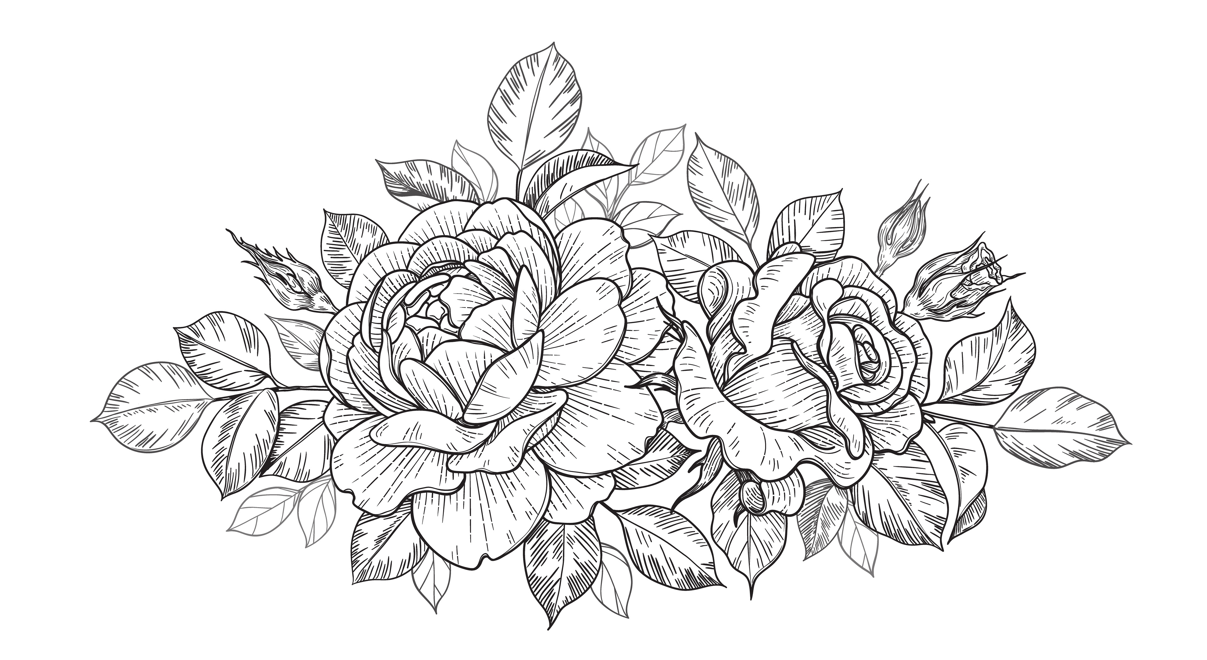 Roses