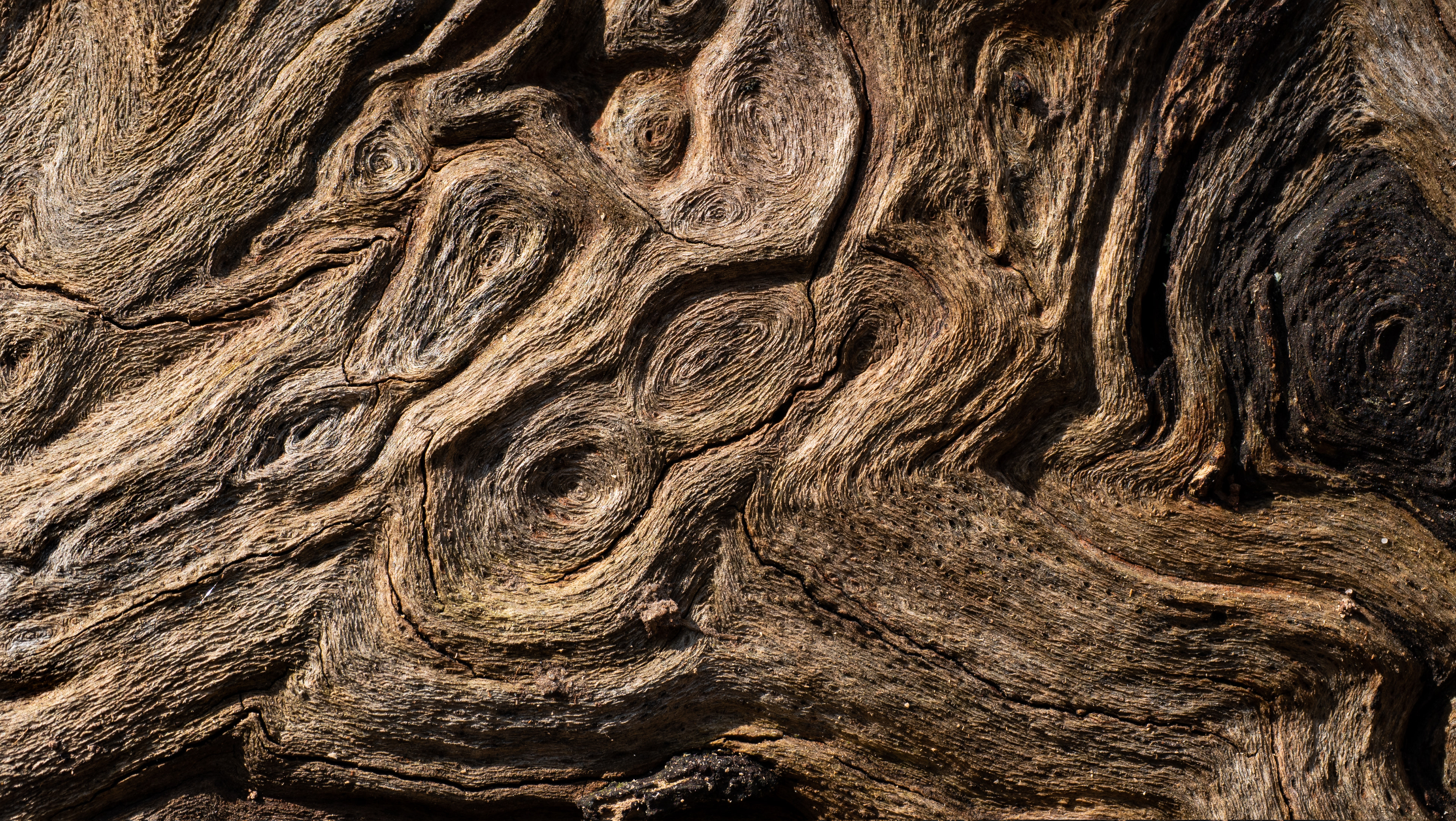 Wood surface, textured and weathered with age