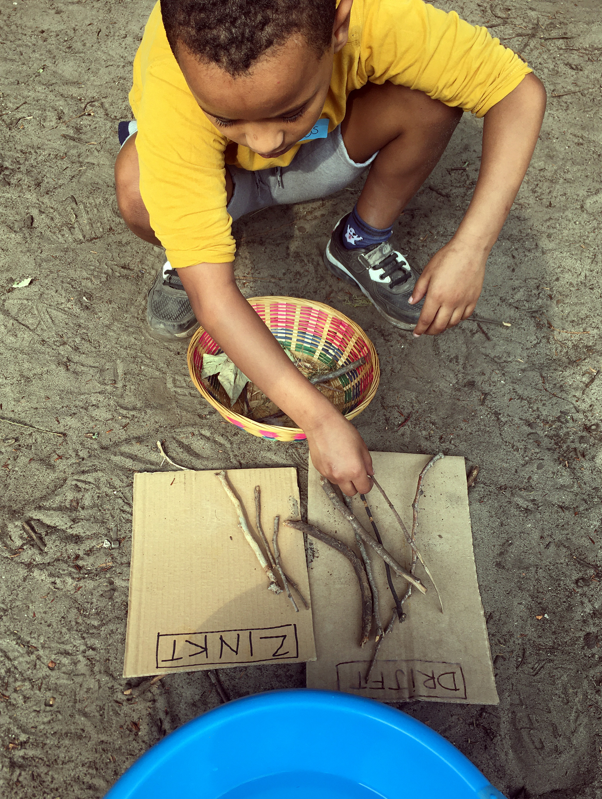 learning about sinking and floating