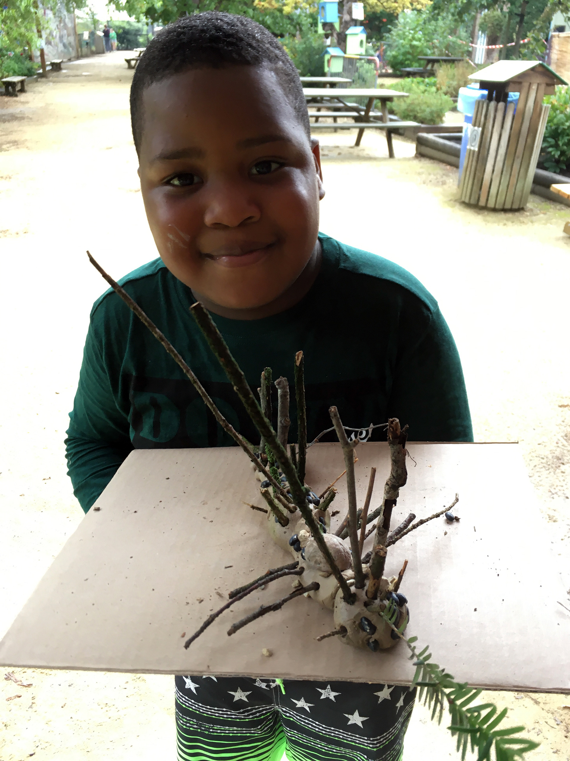 insect creation