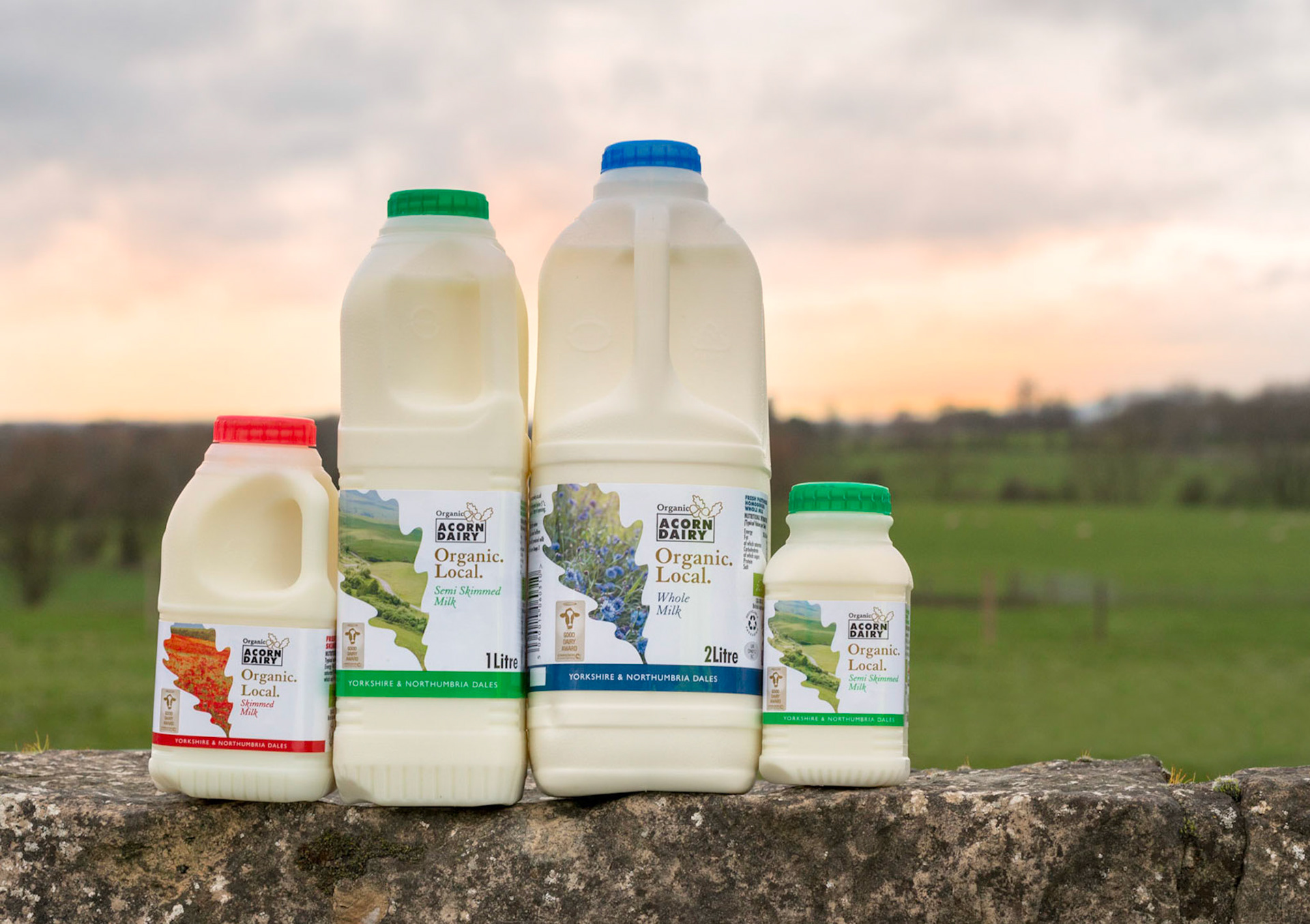 Acorn Dairy organic milk packaging at sunset in Darlington