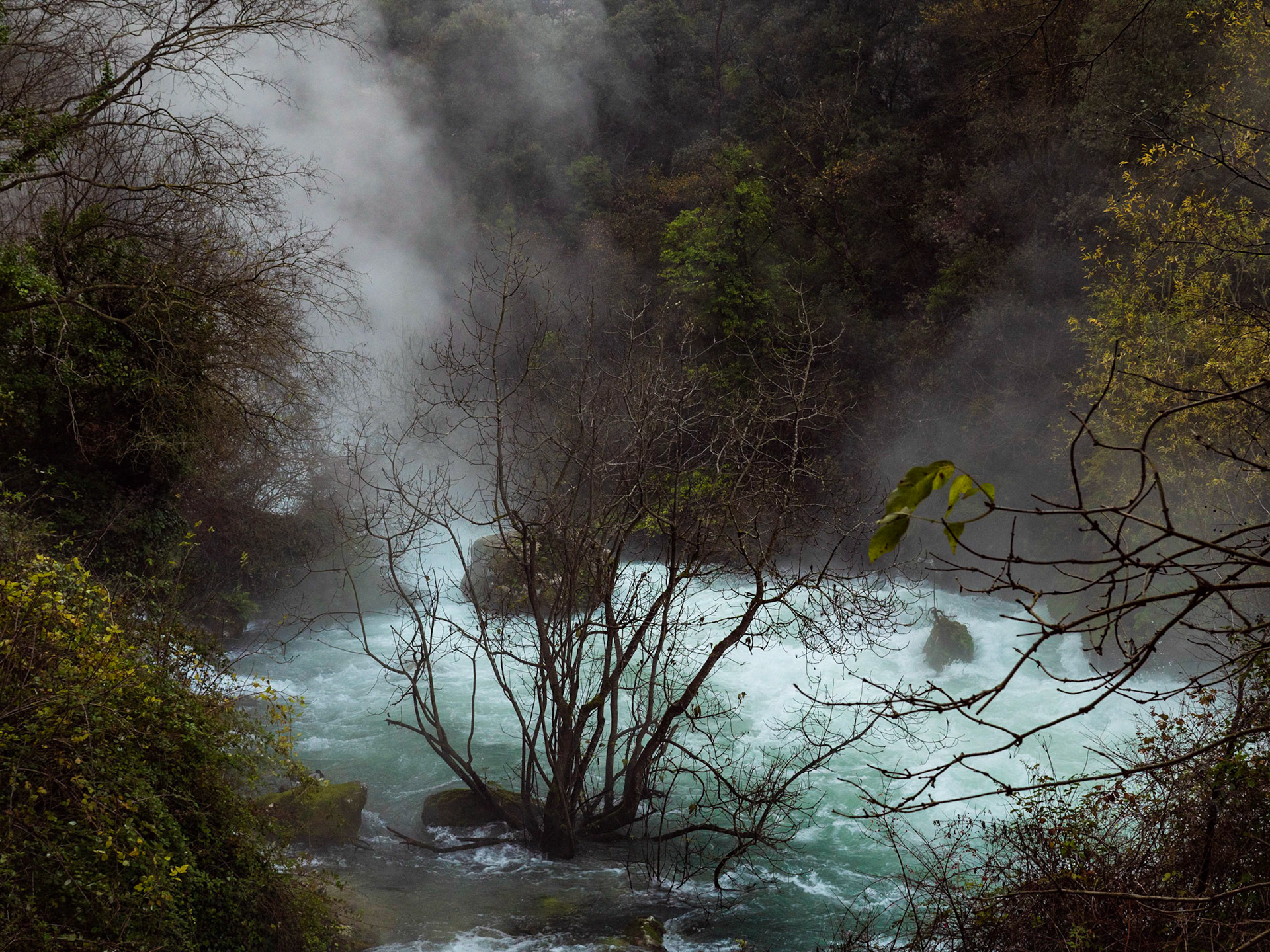 La Fontaine-de-Vaucluse, Joelle Devaux