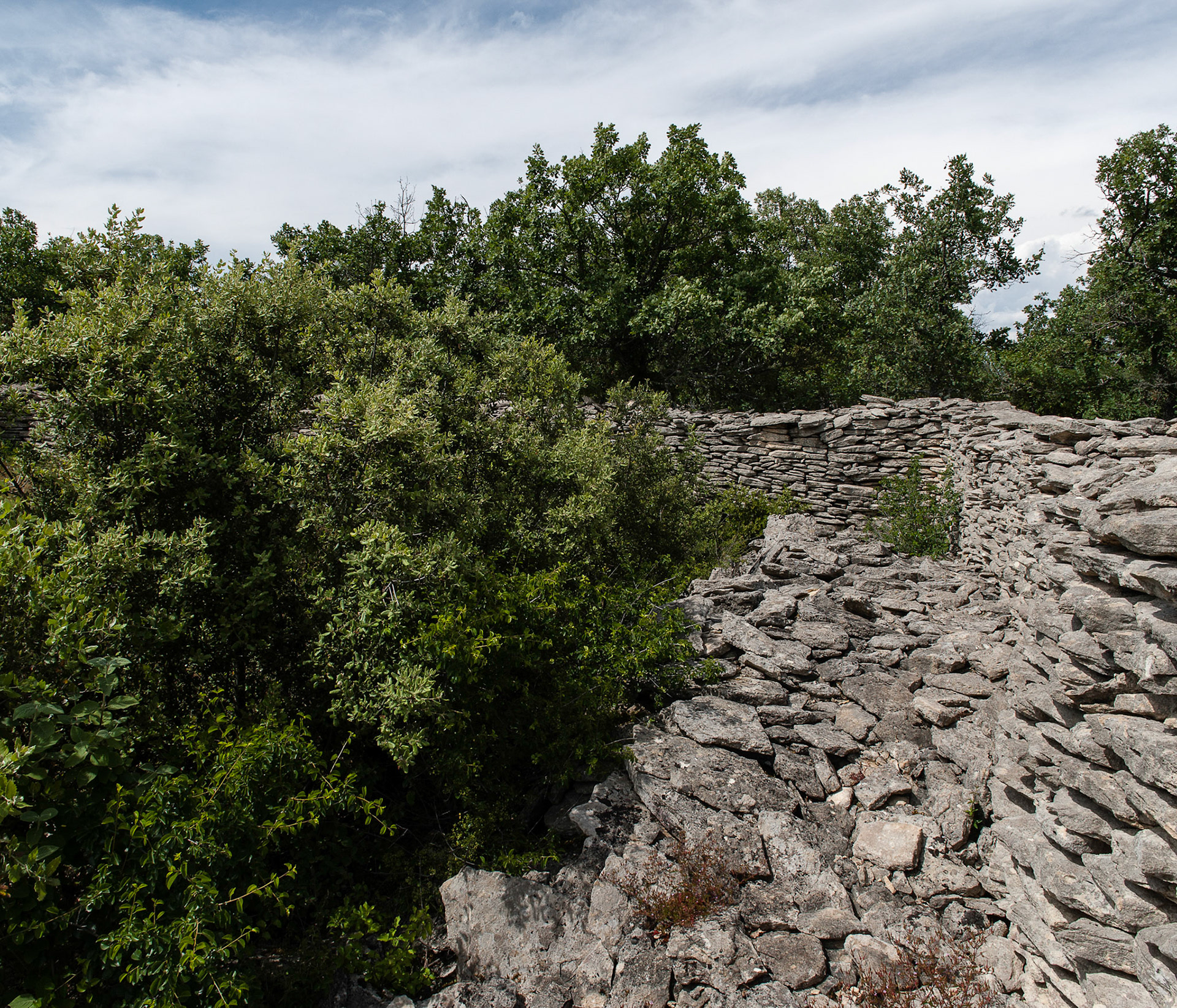 Pierre sèche et chenes verts, Georges Carrel (Luberon, Vaucluse)