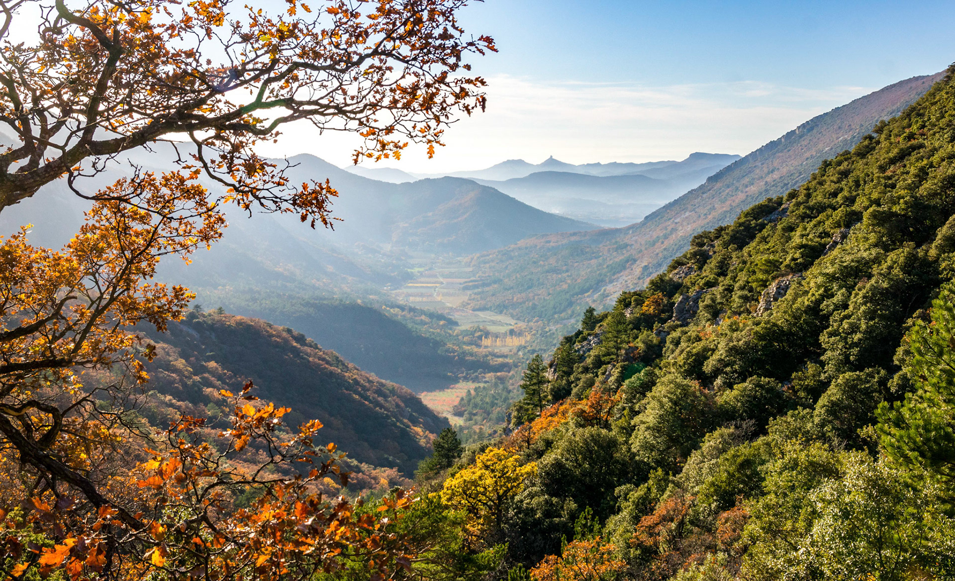 Vue sur les Dentelles de Montmirail depuis le Ventoux, Orlane Fougeroux (Vaucluse)