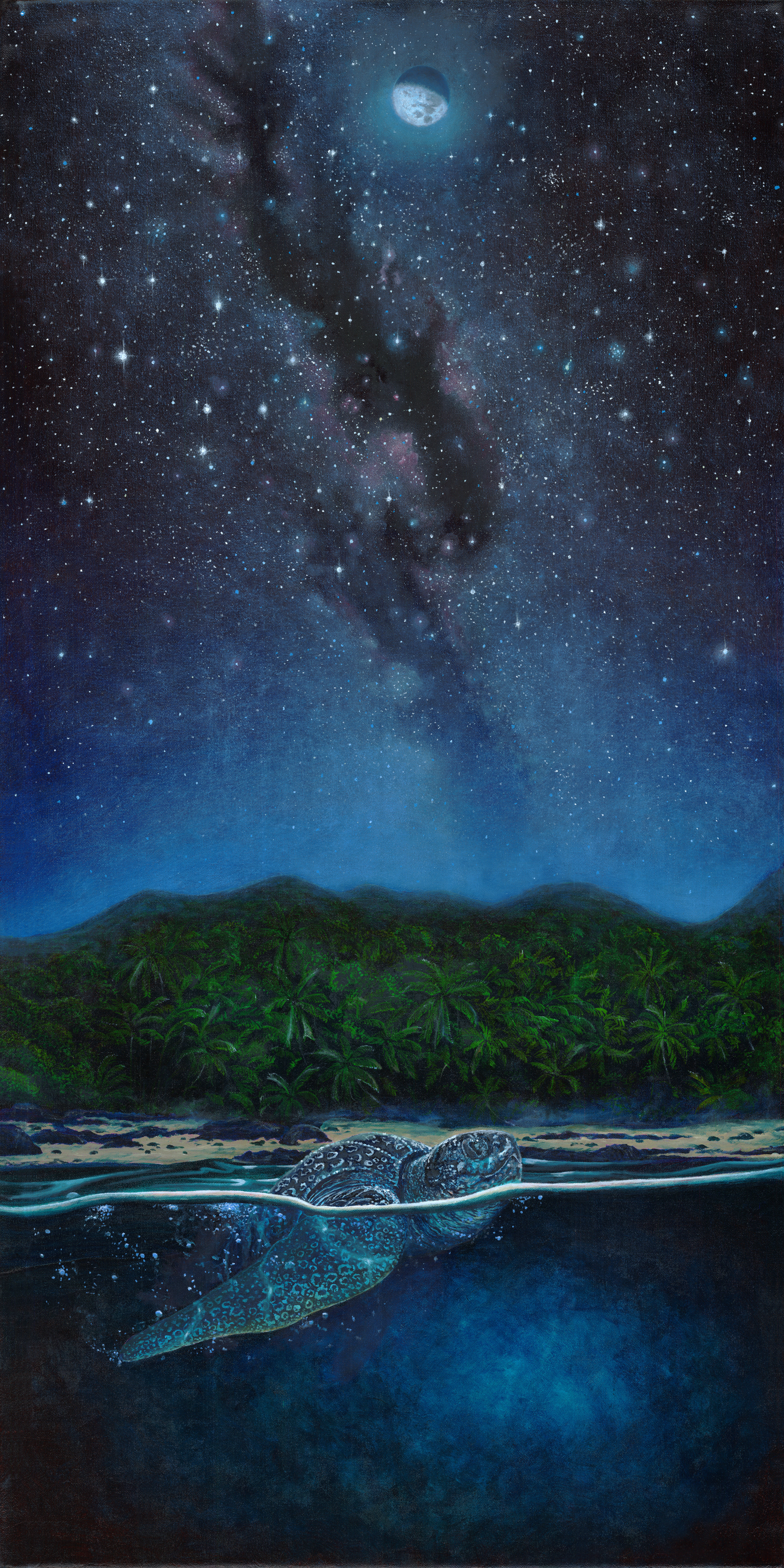 "Baula y luna" 52x26cm