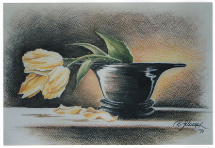 DIN A3 Polychromos / Schenkung