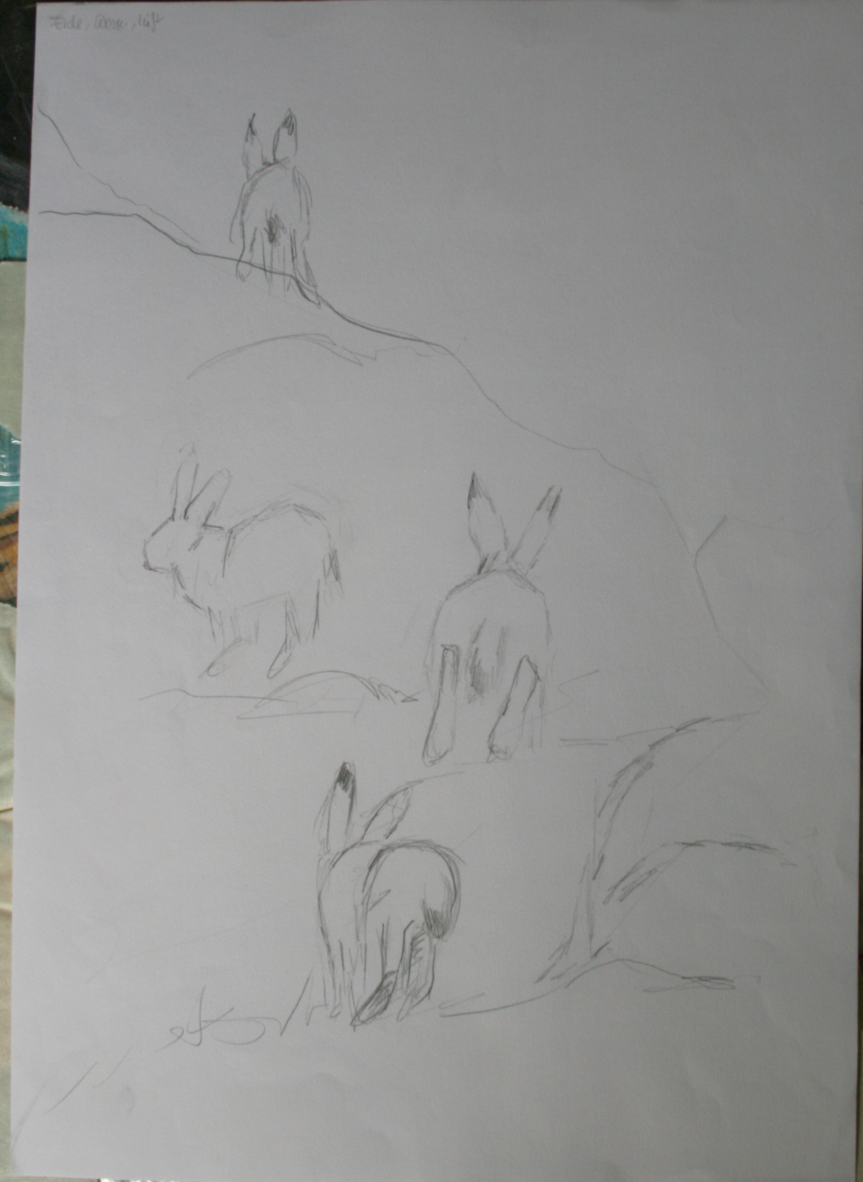 DIN A3 / 2005
