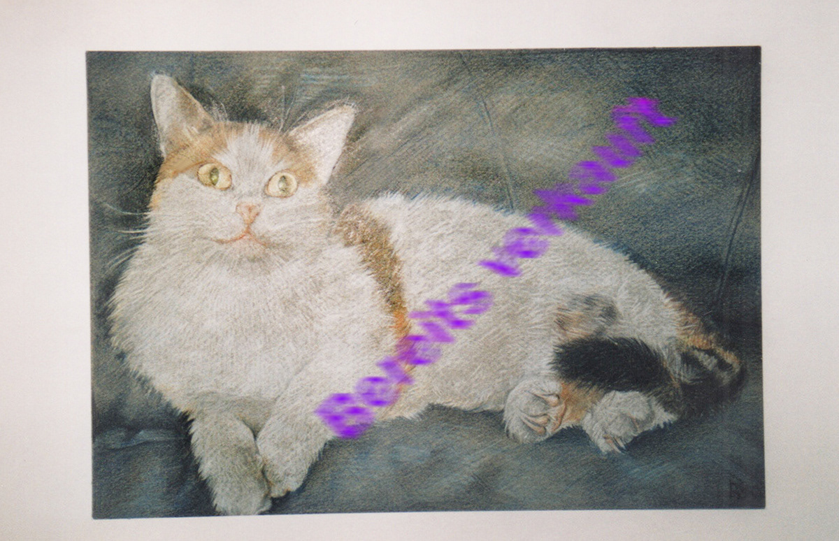 DIN A3 Polychromos / Schenkung - Auftragsarbeit - Coburg Rödental  // Meine eigene Katze ist entweder ein Tiger, >ganz schwarz<B, oder schwarz - weiss.
