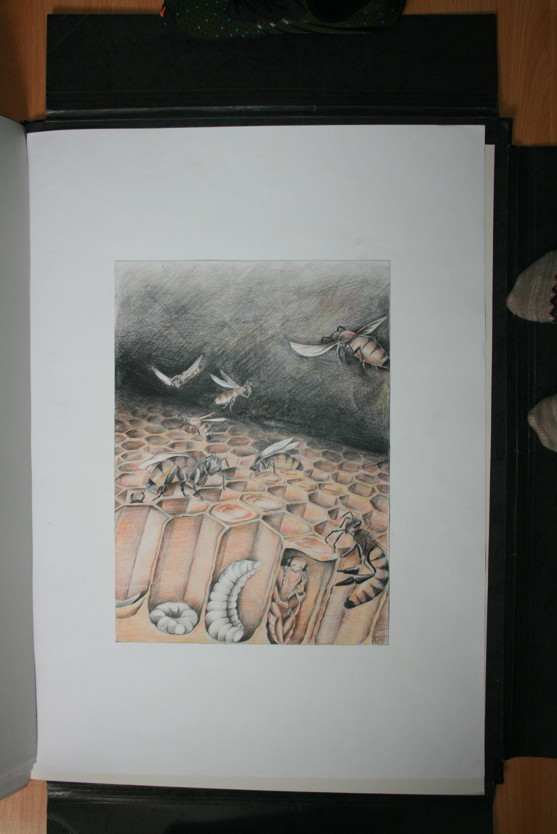 DIN A3 (Polychromos) / Frei erstellte Kopie einer Zeichnung / 1997