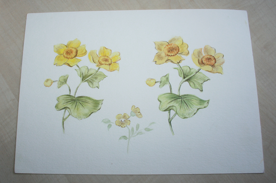 1999 / Aquarell / "Original-Kopie" von Original - -