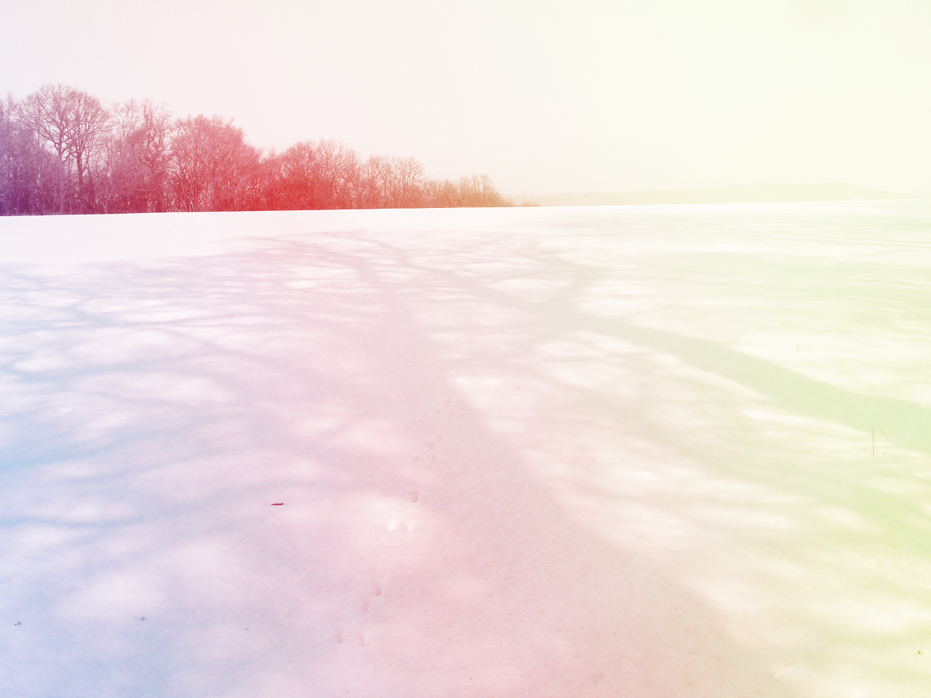 2014 © RS-Design