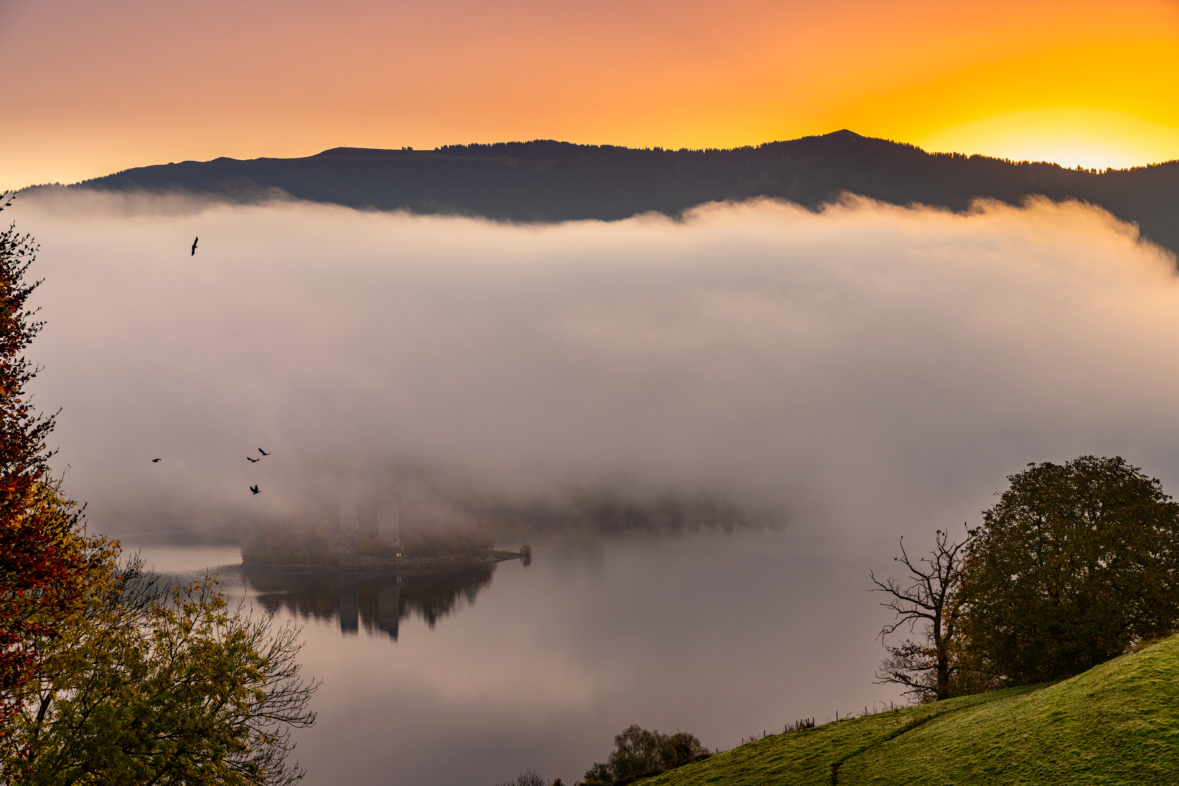 Paysage 4