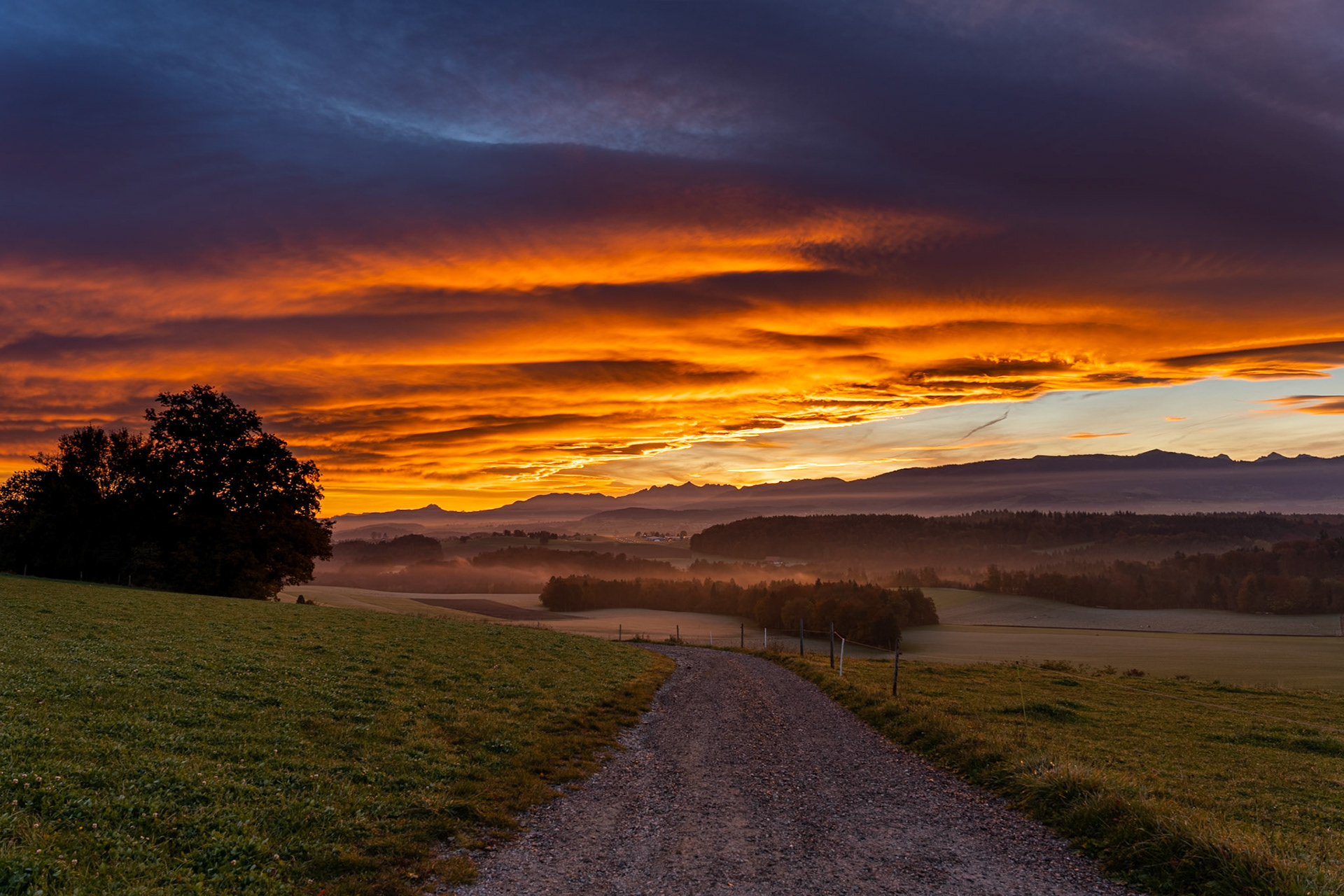 Paysage 17