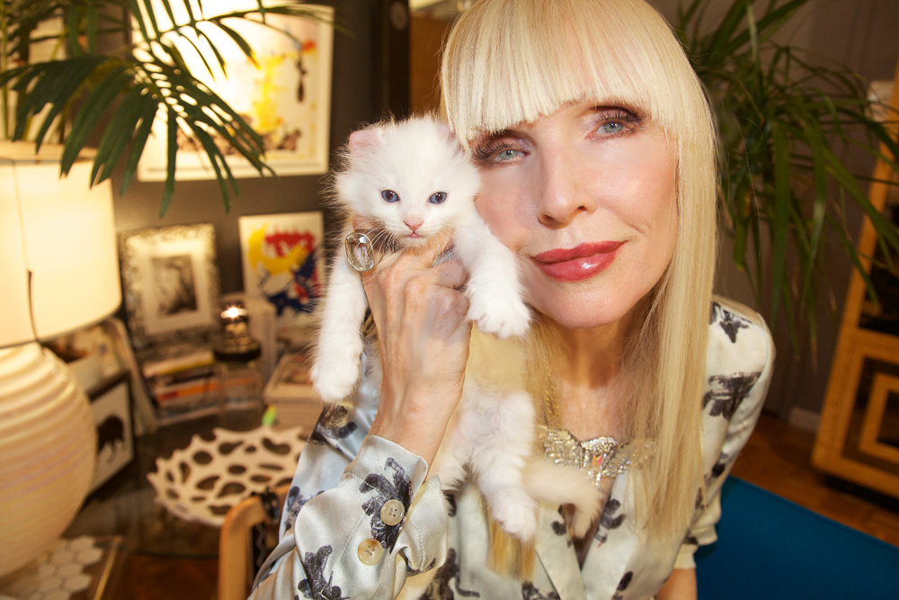 Caroline Scott, with her kitten Andy Samberg, NYC
