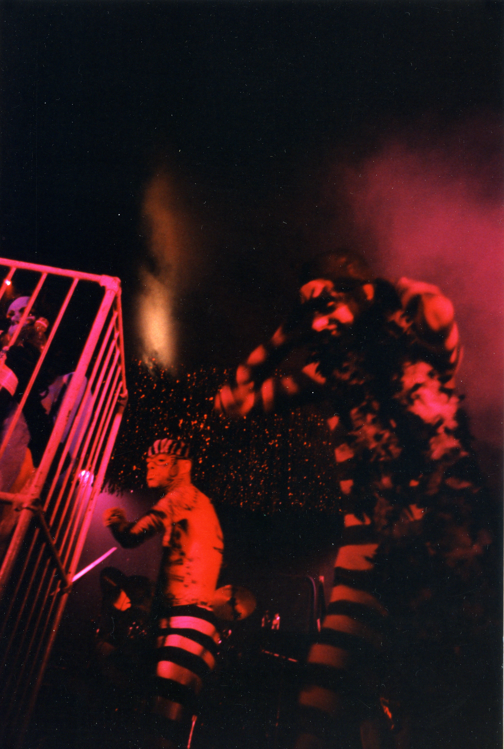 TVHoKB Karen Black live Noel