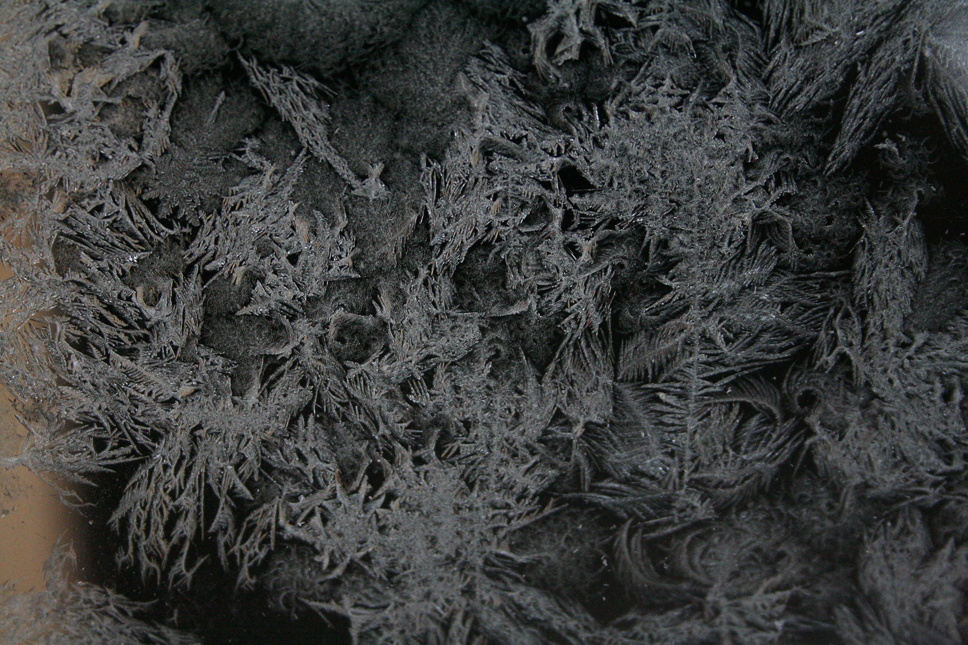 Frost on a window, Hudson, New York