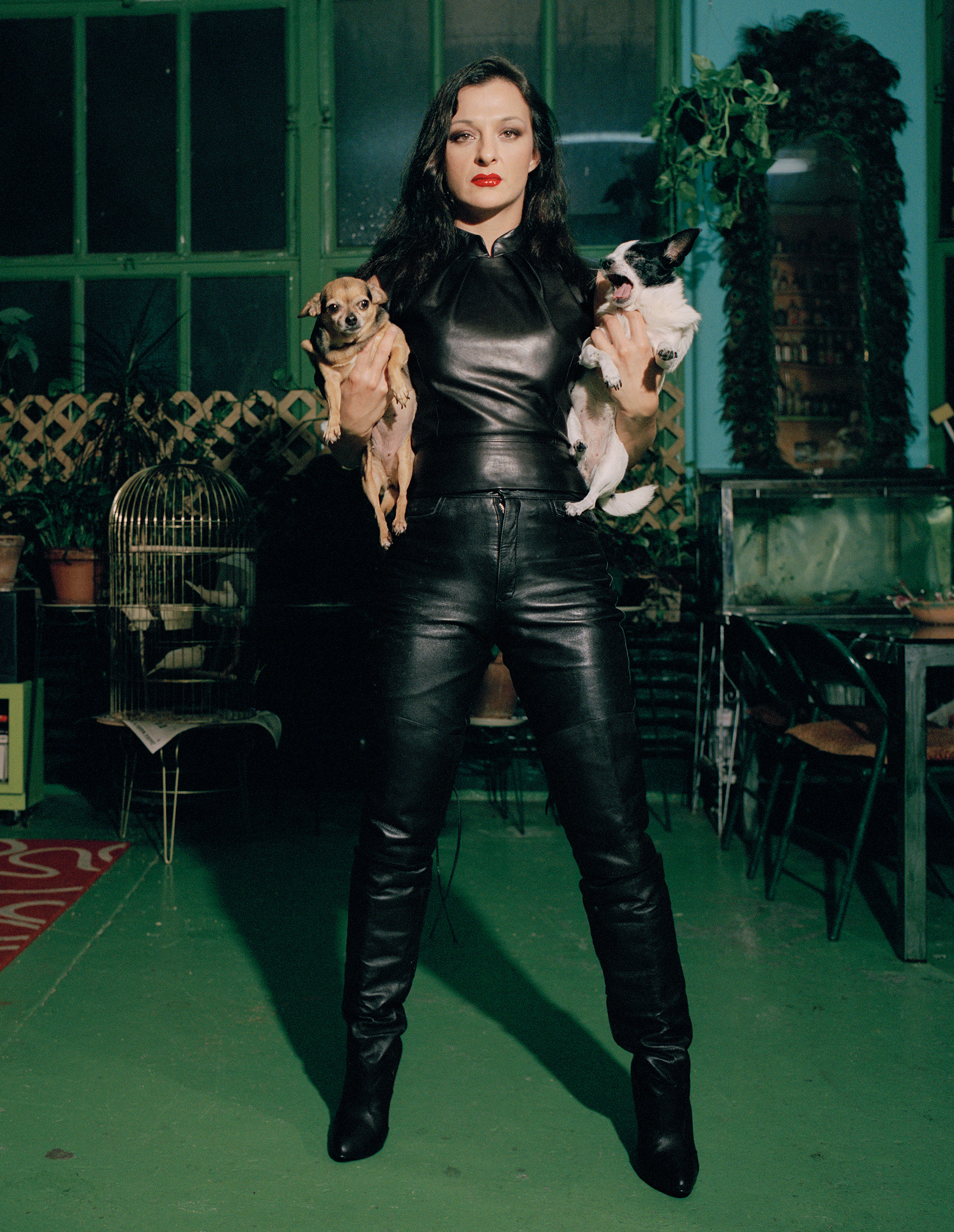 Otter with her dogs
