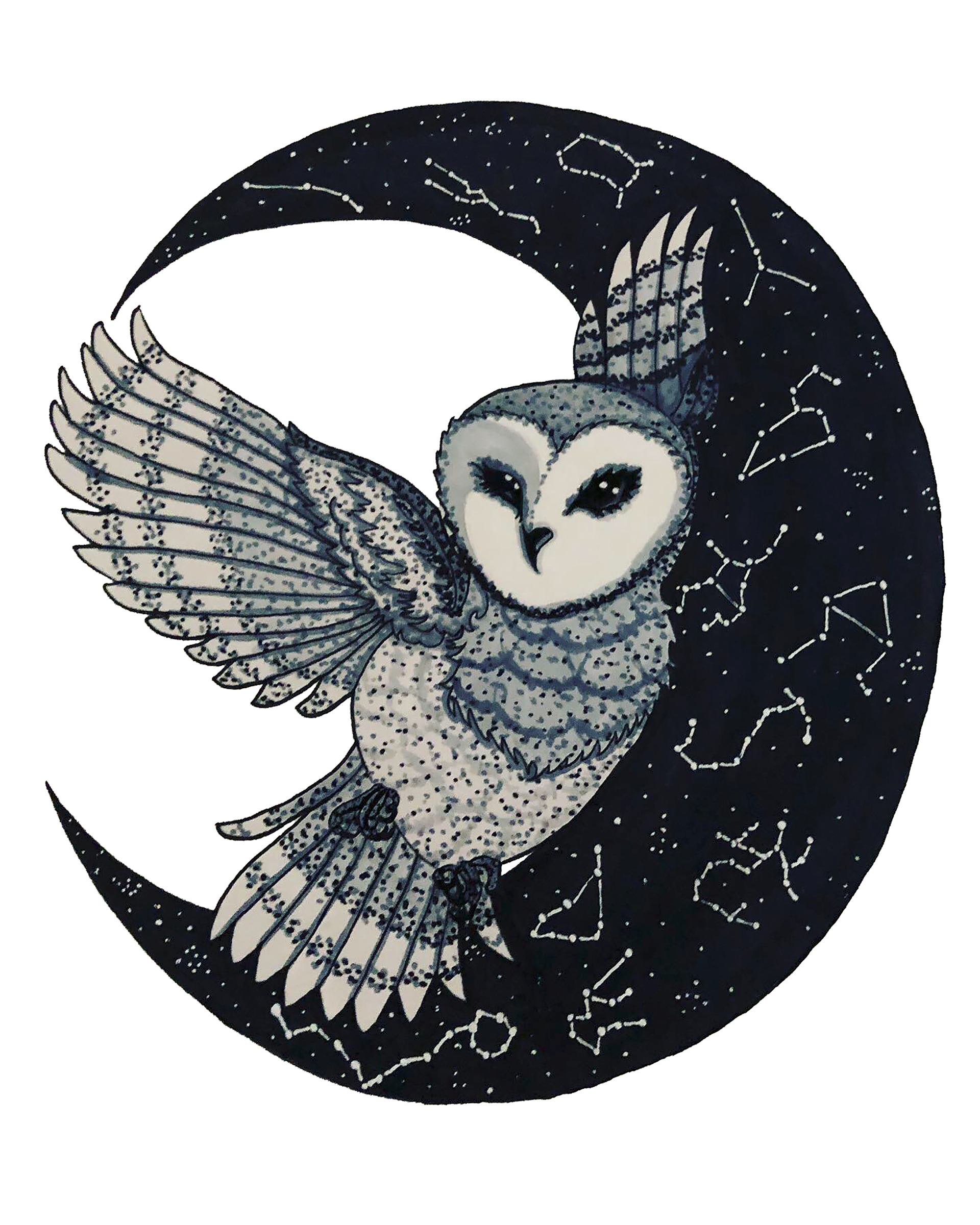 Midnight Owl