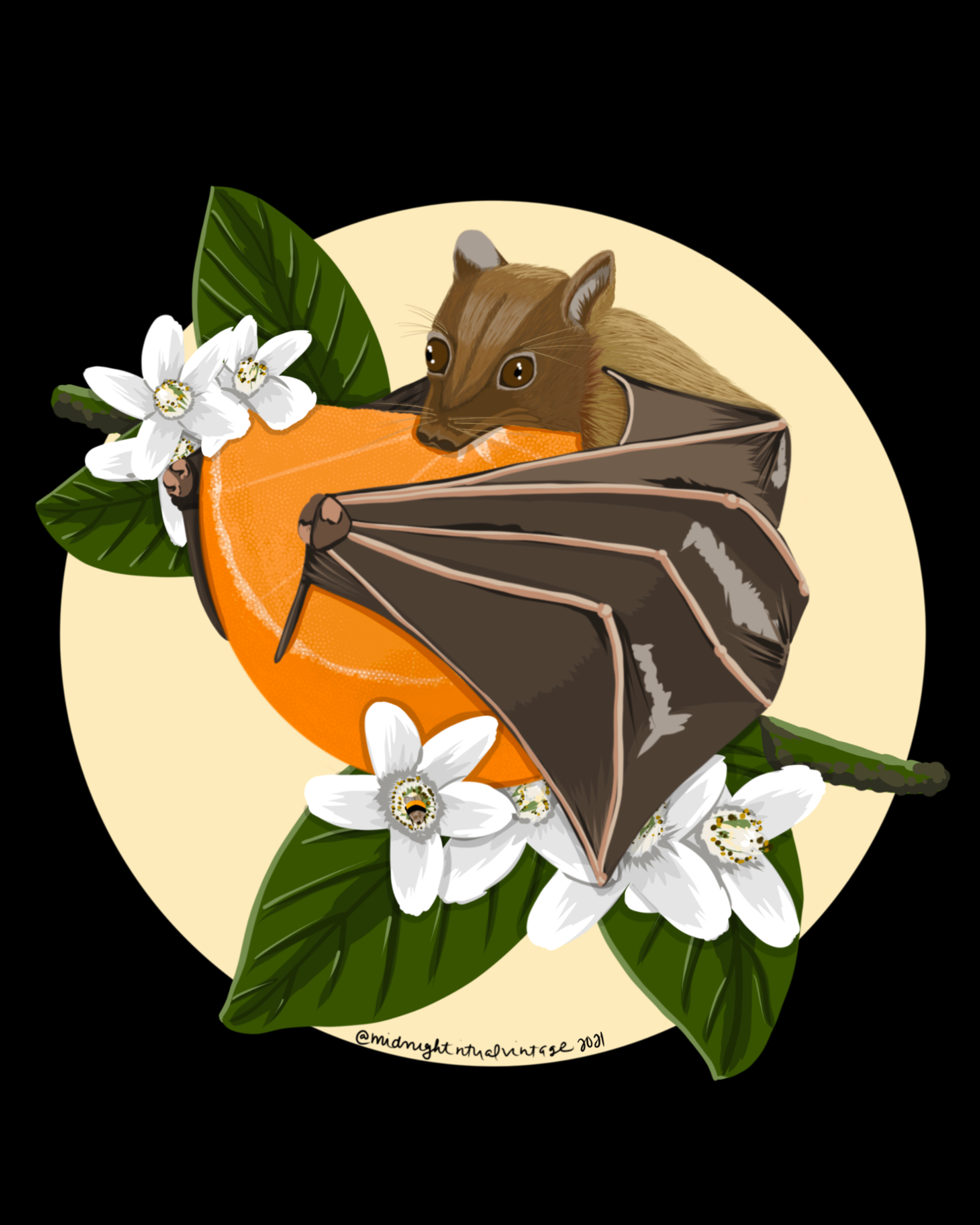 Orange Bat (Fruit Bat) - 2021