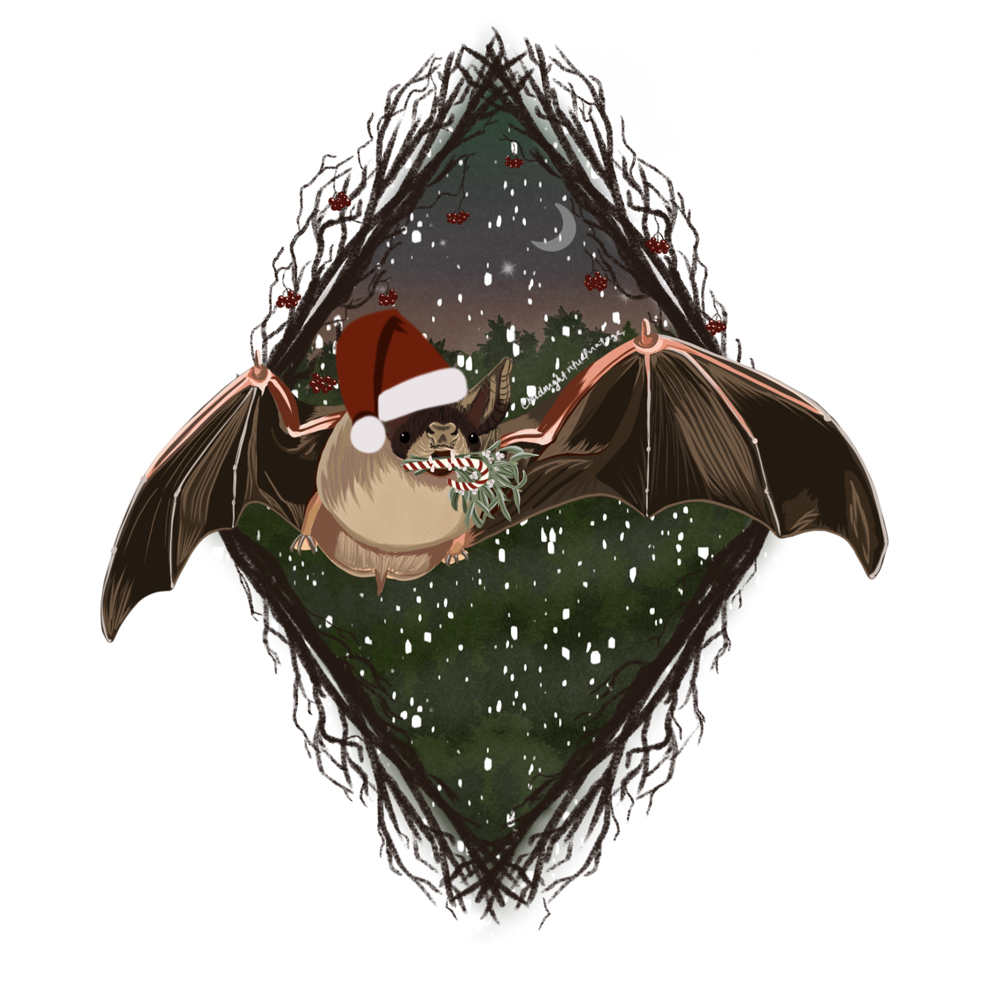 Santa Bat - December 2022