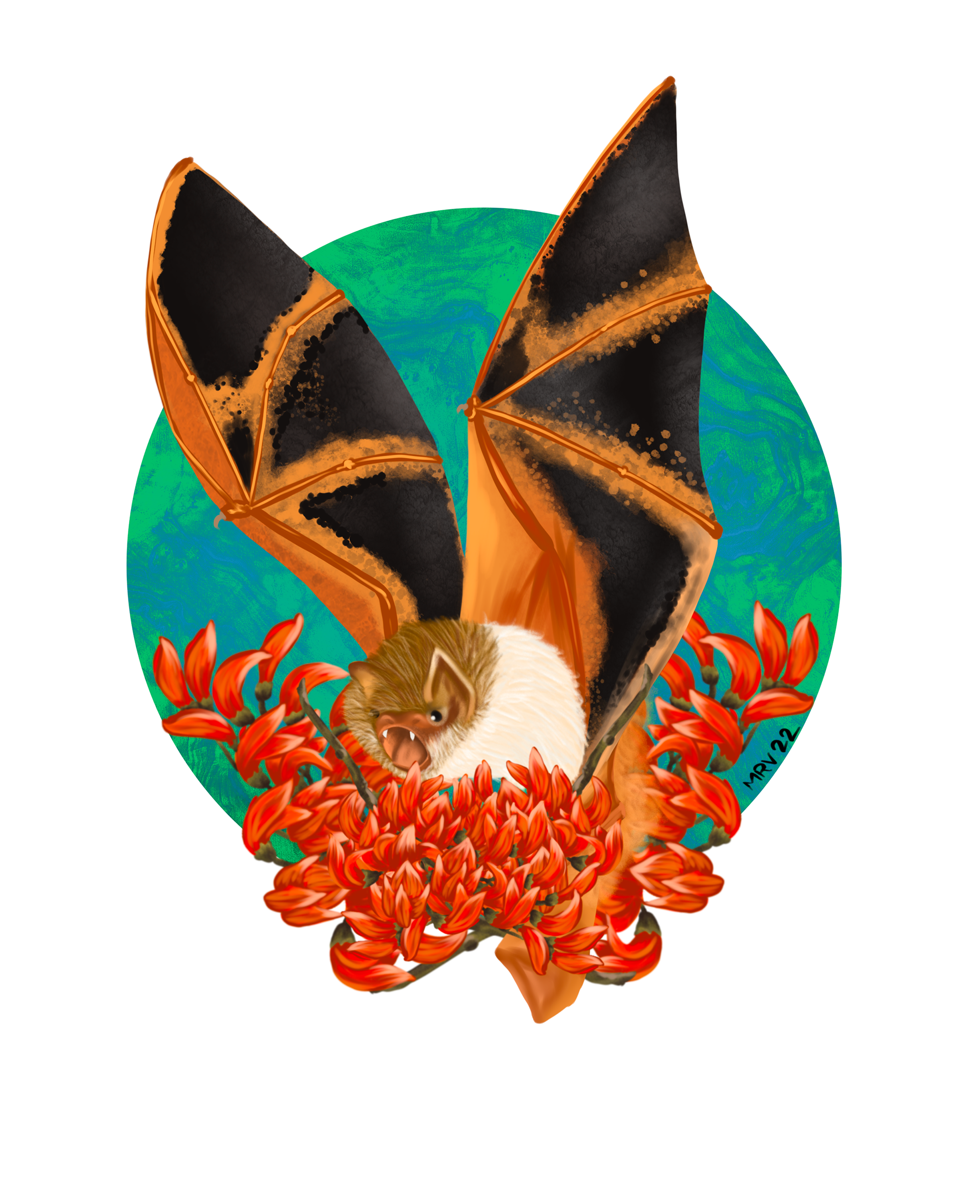 Painted Wooly Bat - 2022