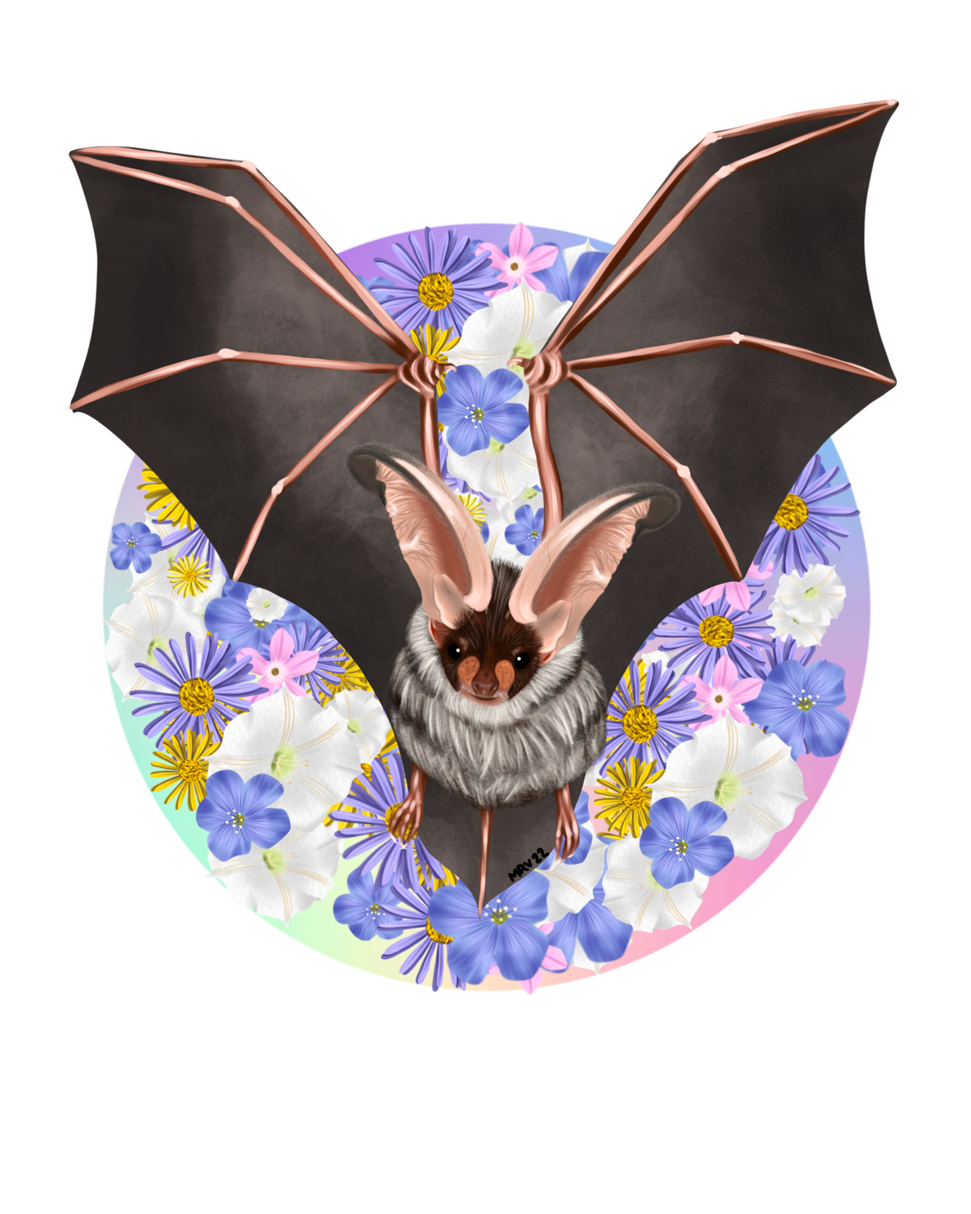 Spotted Bat - 2022