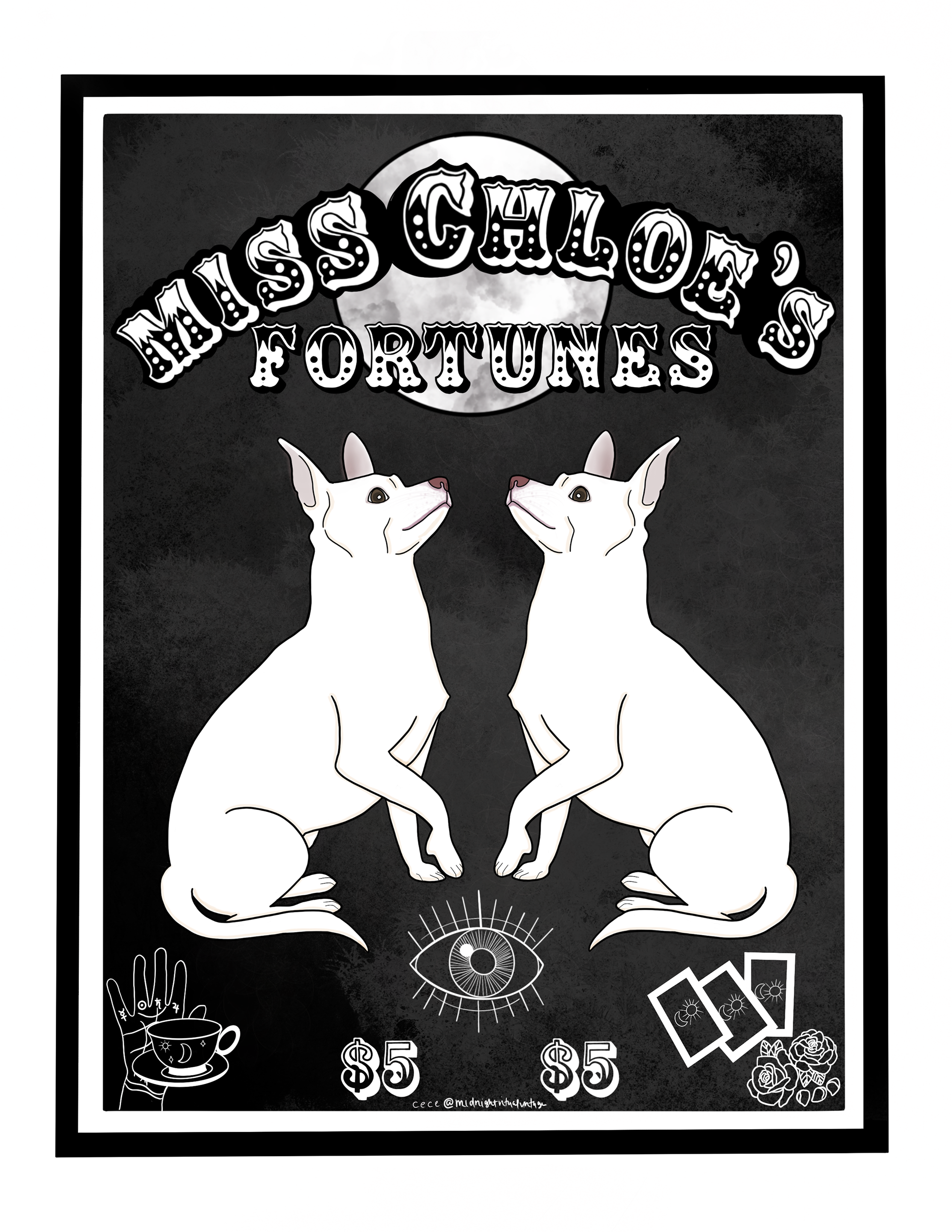 Miss Chloe's Fortunes