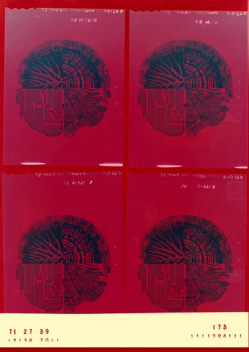 "The Anthropocene's X-Ray"