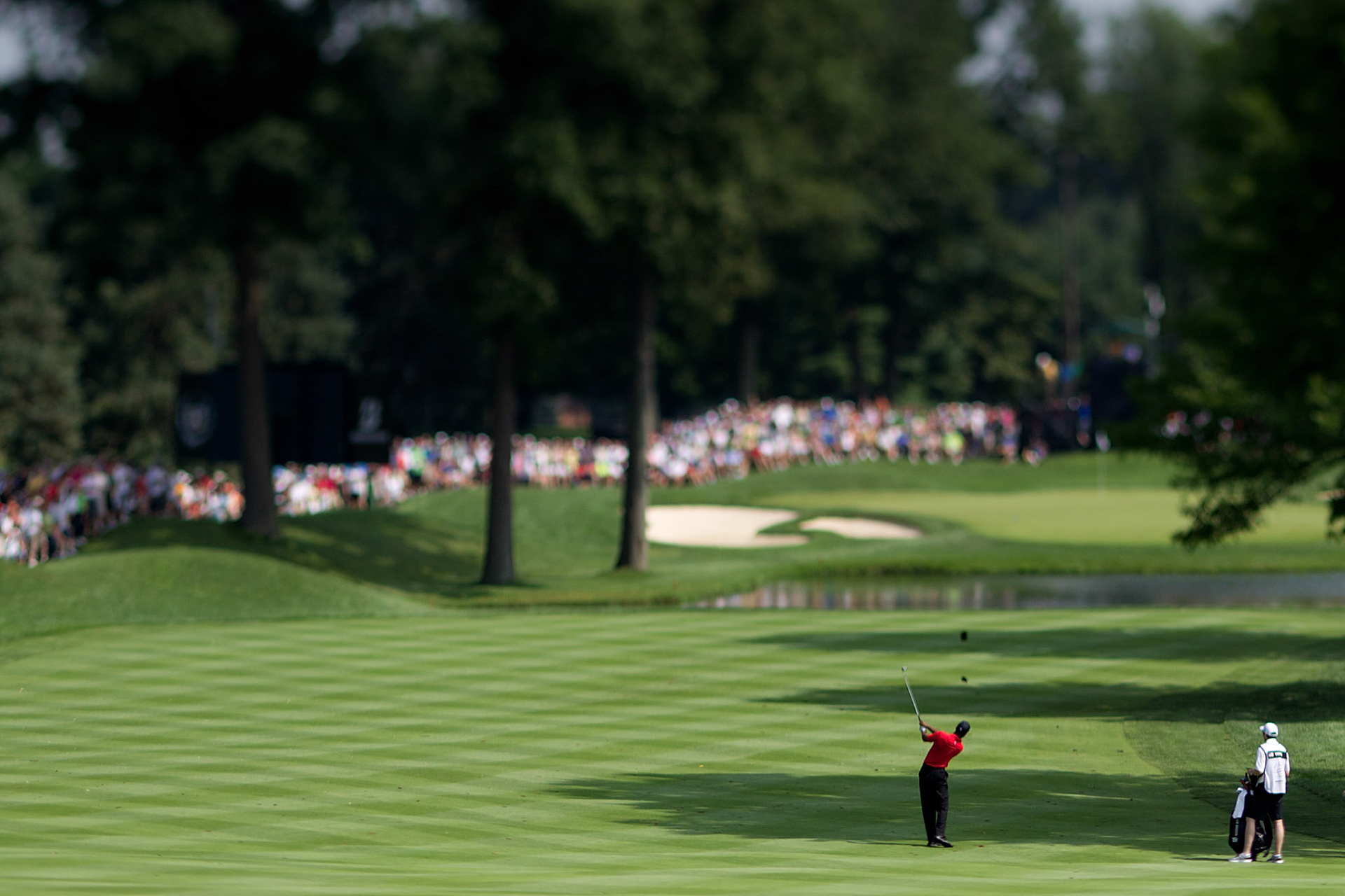 Tiger Woods during the WGC Bridgestone at Firestone Country Club. (Photo by Allan Henry / GOLF CHRONICLES)