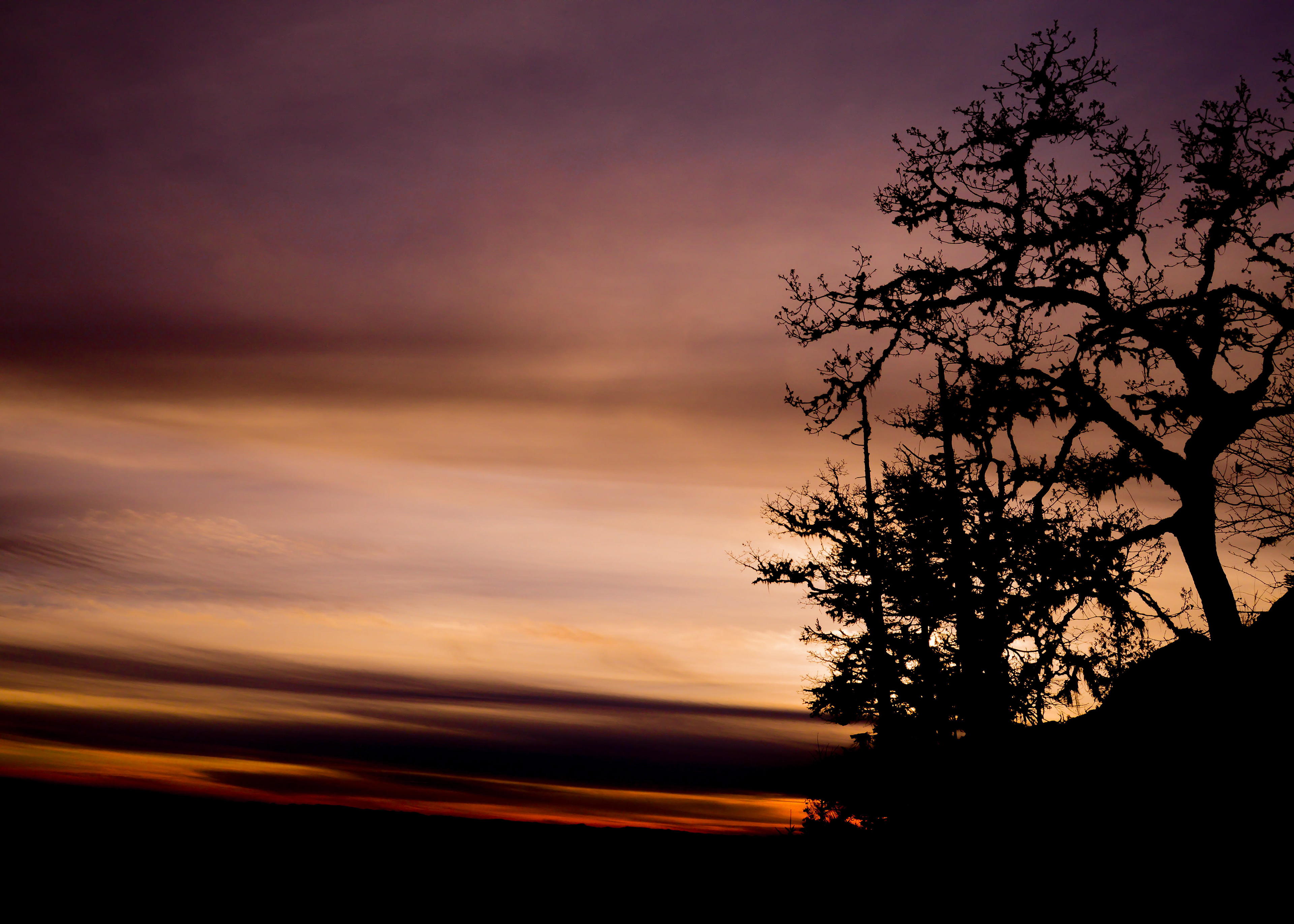 Spencer's Butte, Oregon