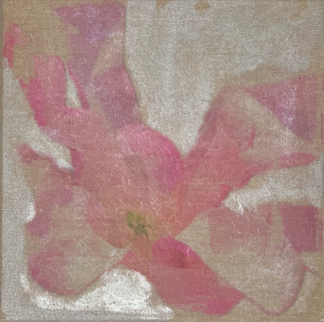 Mixed Media - Foto-Transferverfahren - Sternmagnolien - 2025