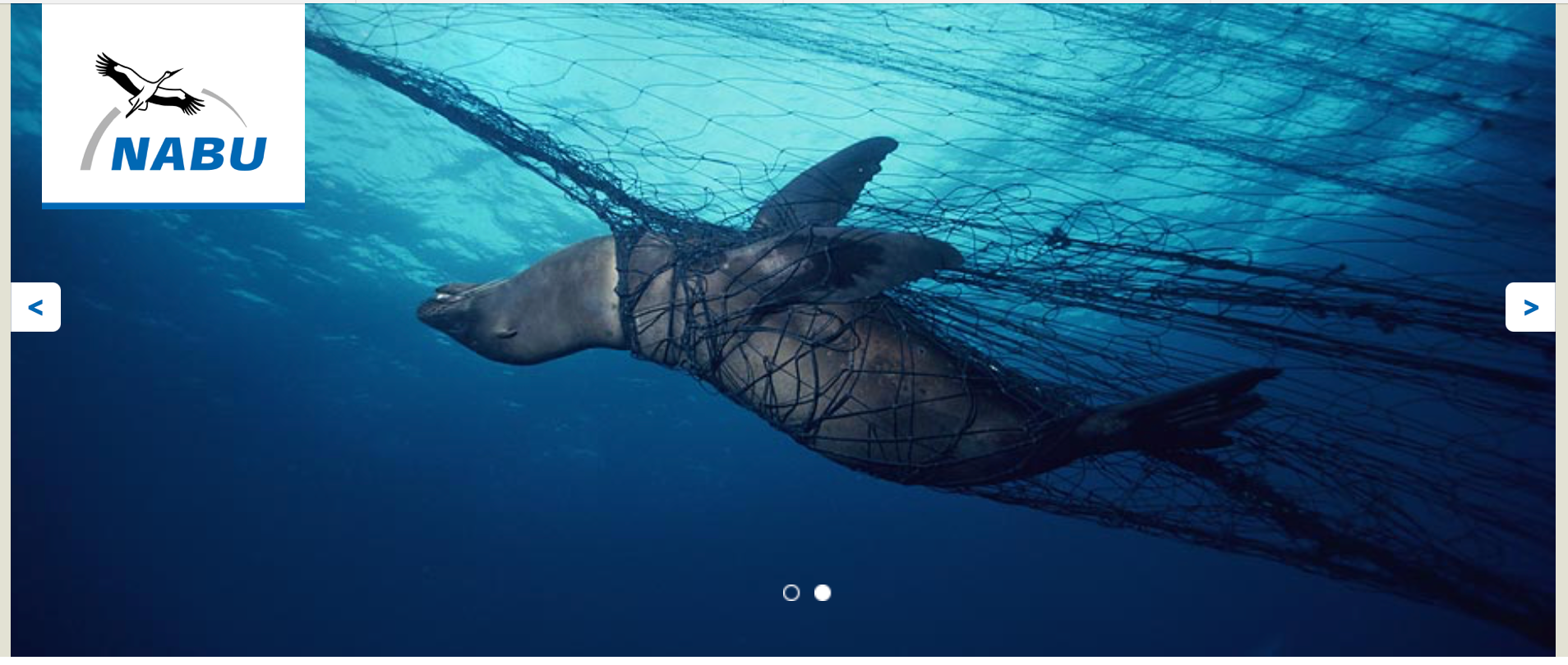 NABU-Foto Projekt Meere ohne Plastik