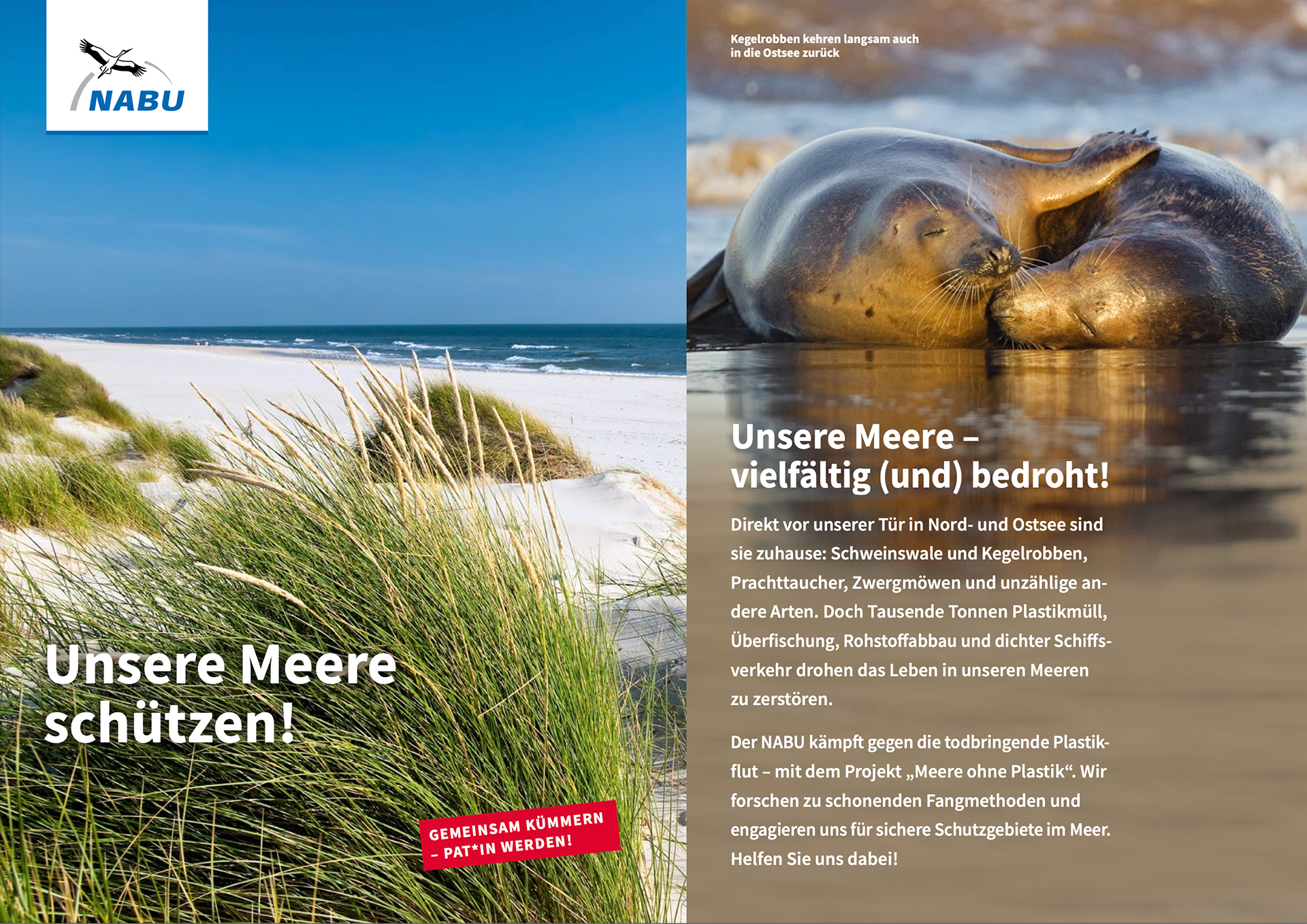 BILD NABU Unsere Meere schützen - Patenschaft