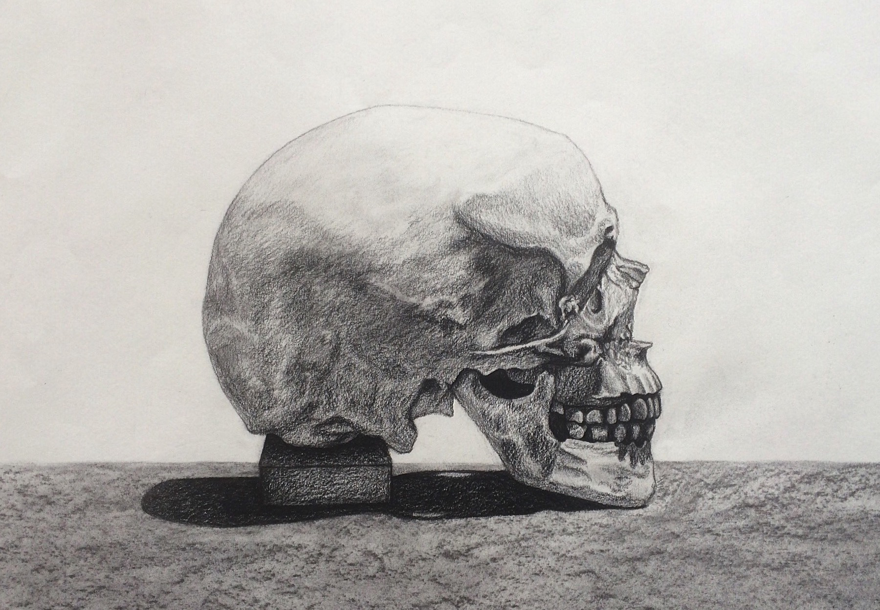 "Skull on Block." Charcoal. 2016.