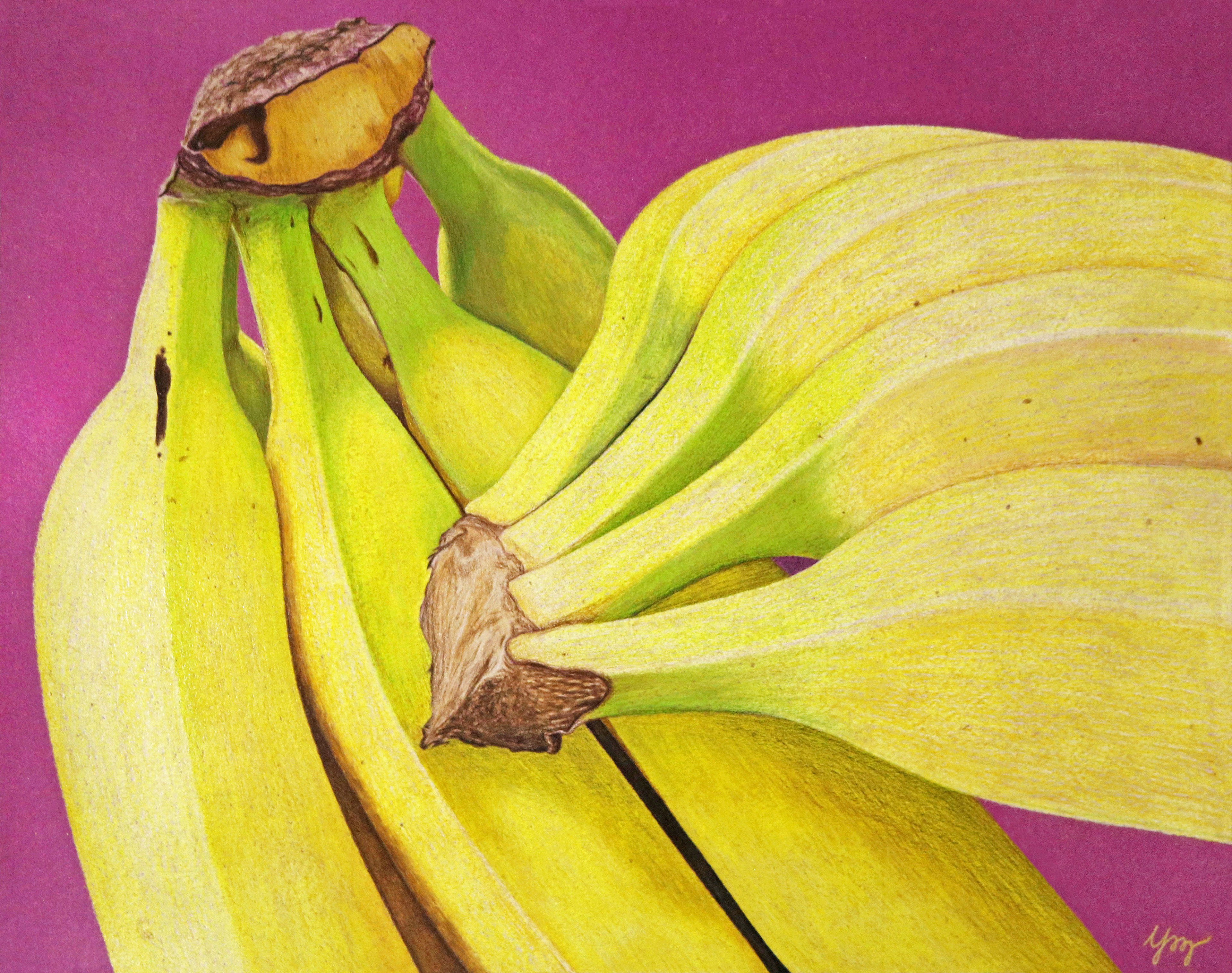 "Bunches of Bananas." Colored pencils. 2018.