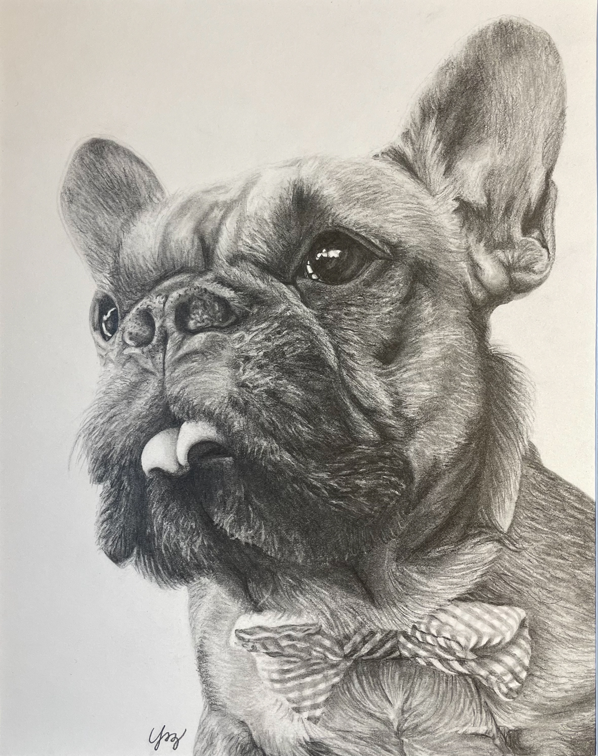 "Frankie". Graphite. 2021.
