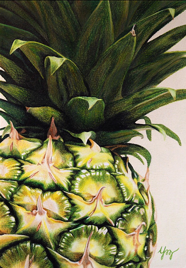 "Pineapple." Colored pencils. 2019.