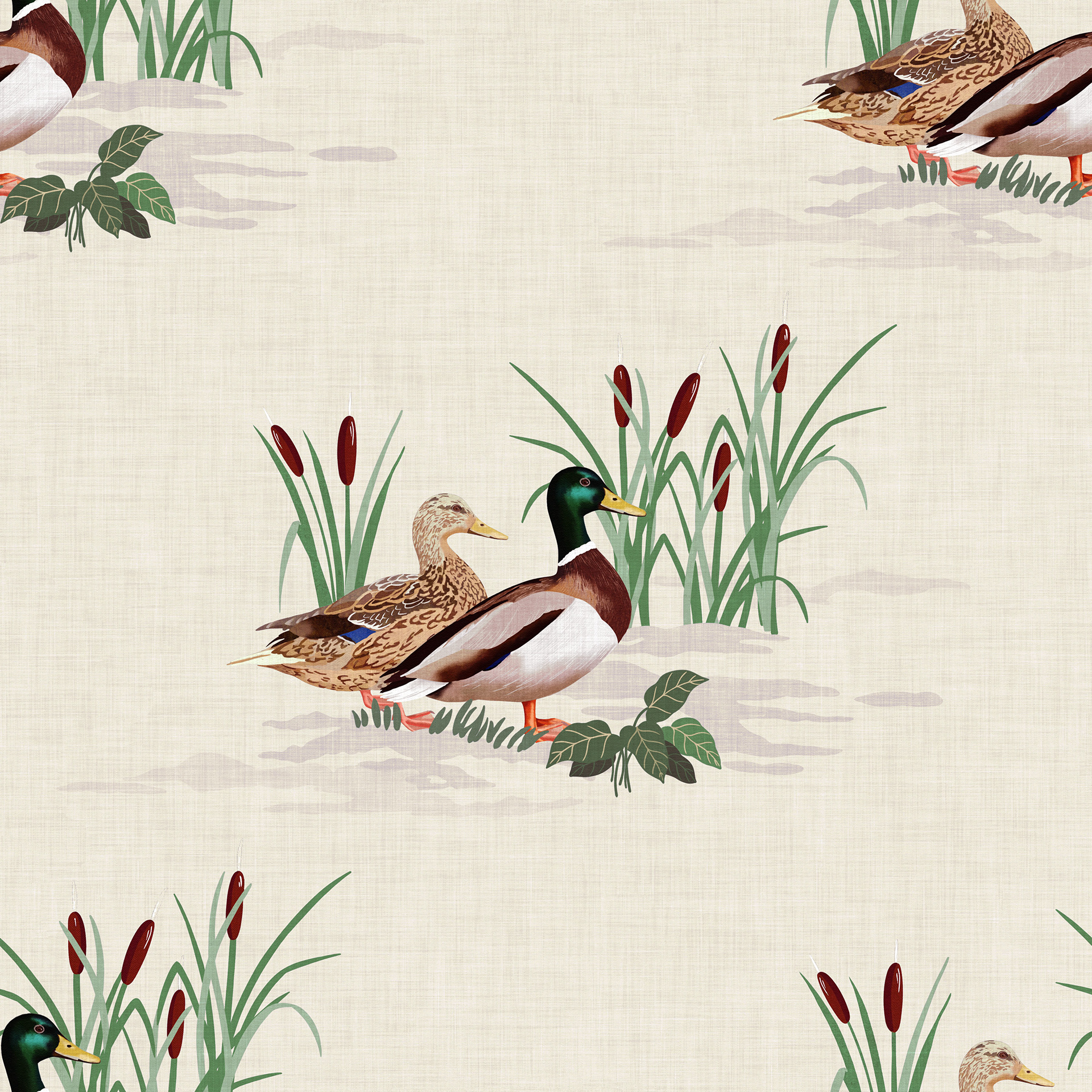 Country Duck