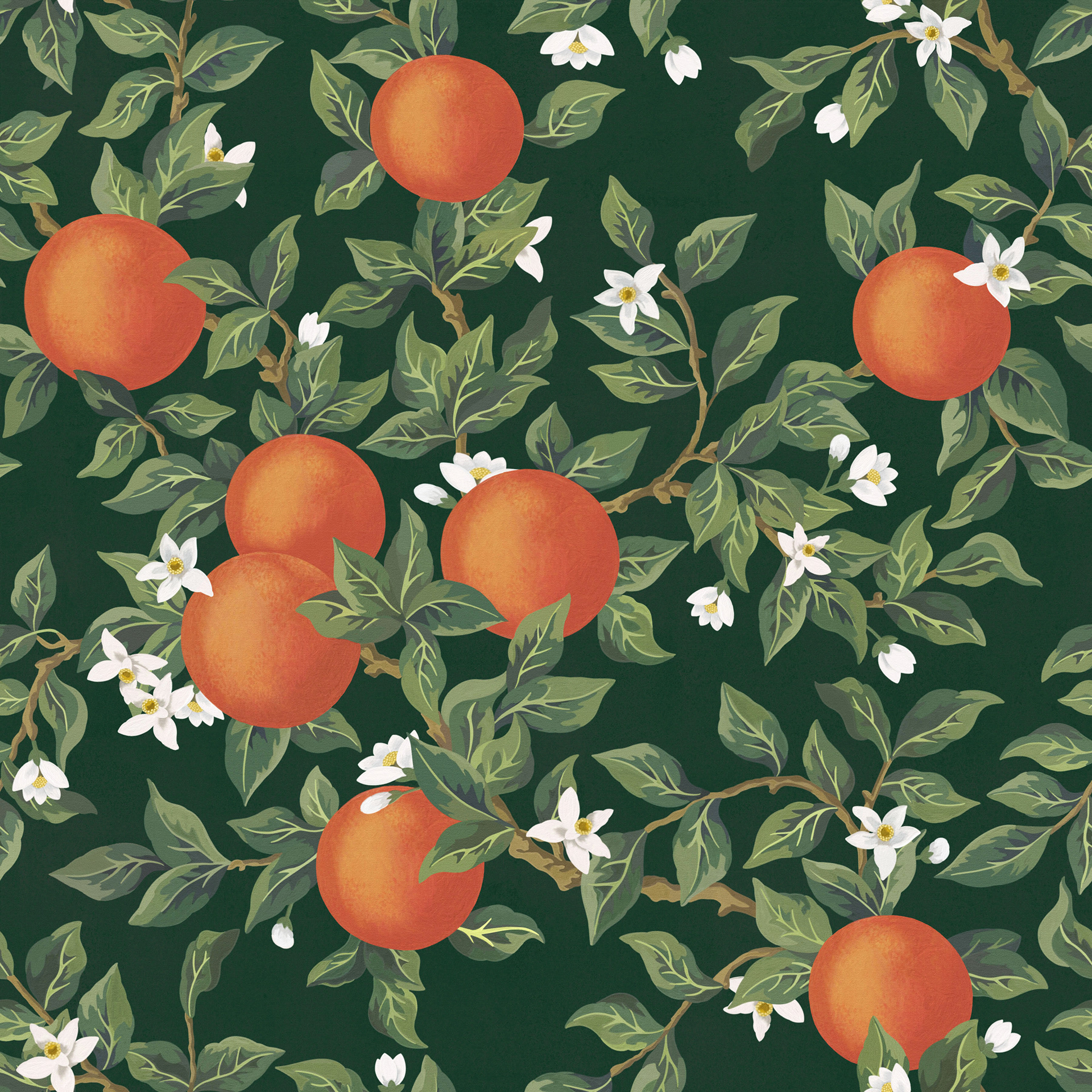 Orange Blossom