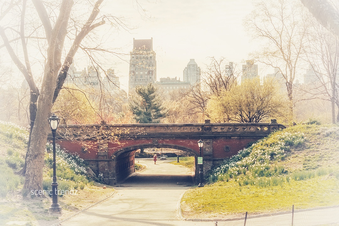 A scenic view of Driprock arch in Central Park (Taken in Fall 2019)