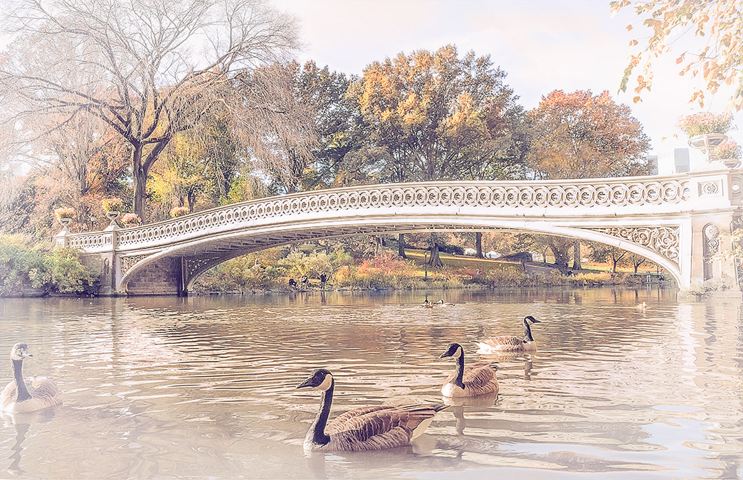 A dreamlike capture and edit of bow bridge, Central Park (Taken in fall 2018)