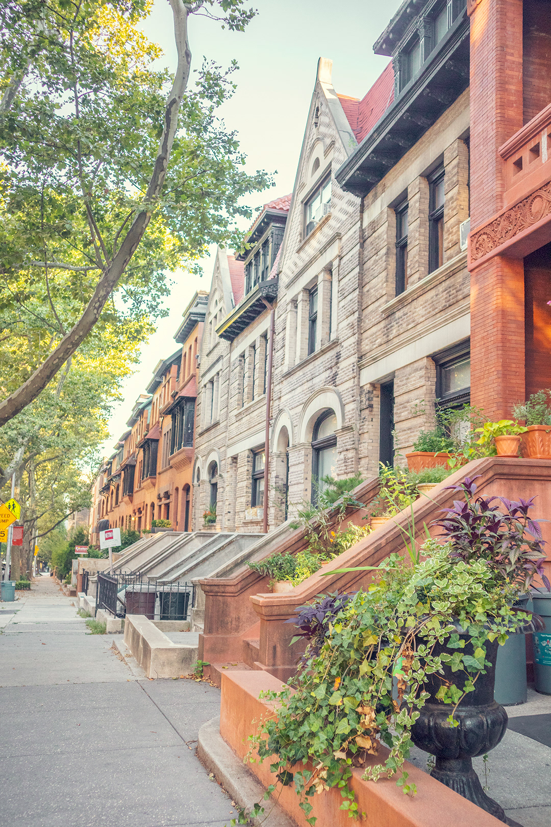A scenic row of town houses in Park Slope, Brooklyn (Taken in summer 2020)
