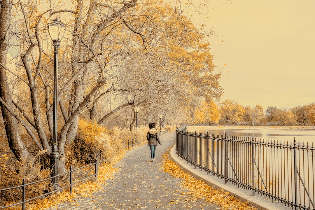My twist on Jackie Onassis Reservoir, Central Park (Taken in Fall 2019)