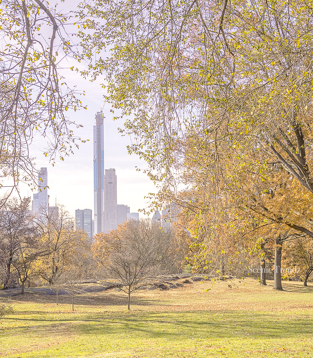 A lovely view from inside Central park (Taken in fall 2019)