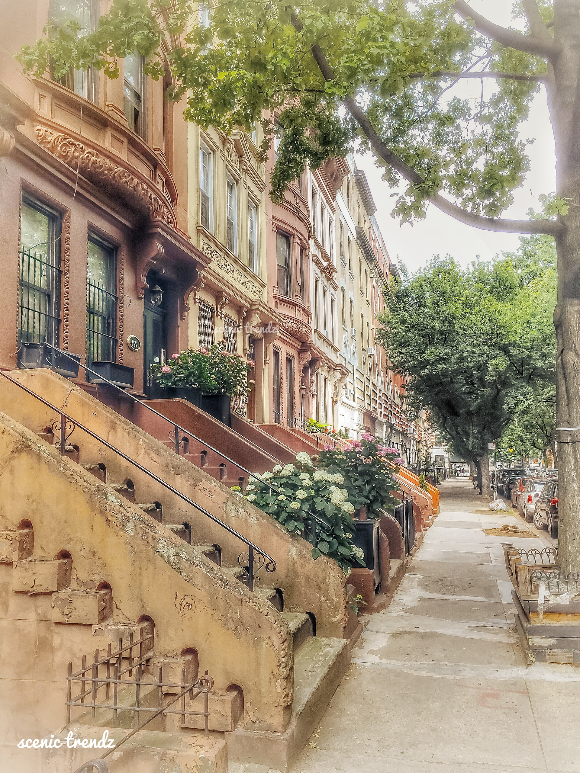 A lovely array of brownstone homes in Harlem (Taken in summer 2020)