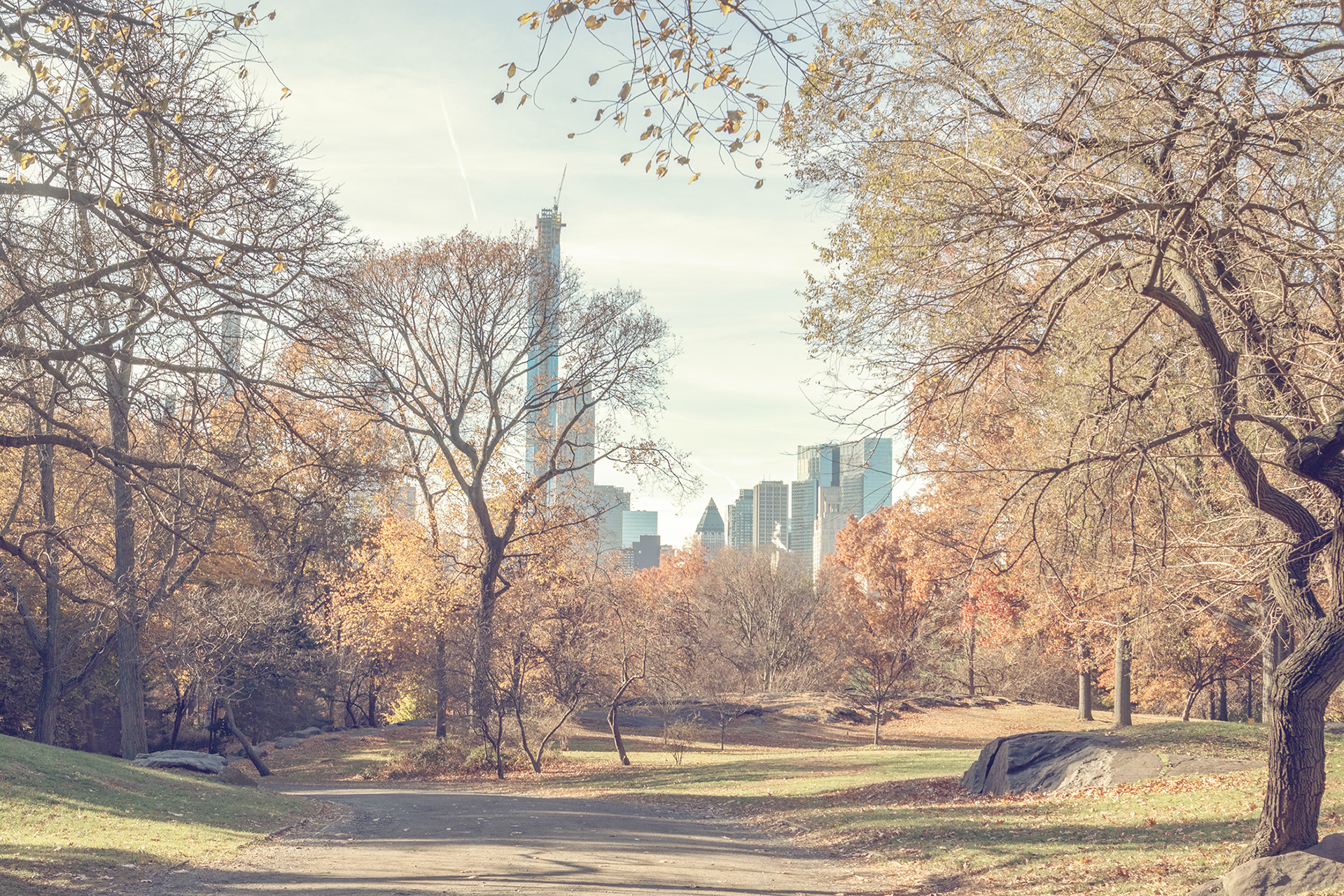 A lovelyscene in Central Park (Taken towards the end of fall 2019)