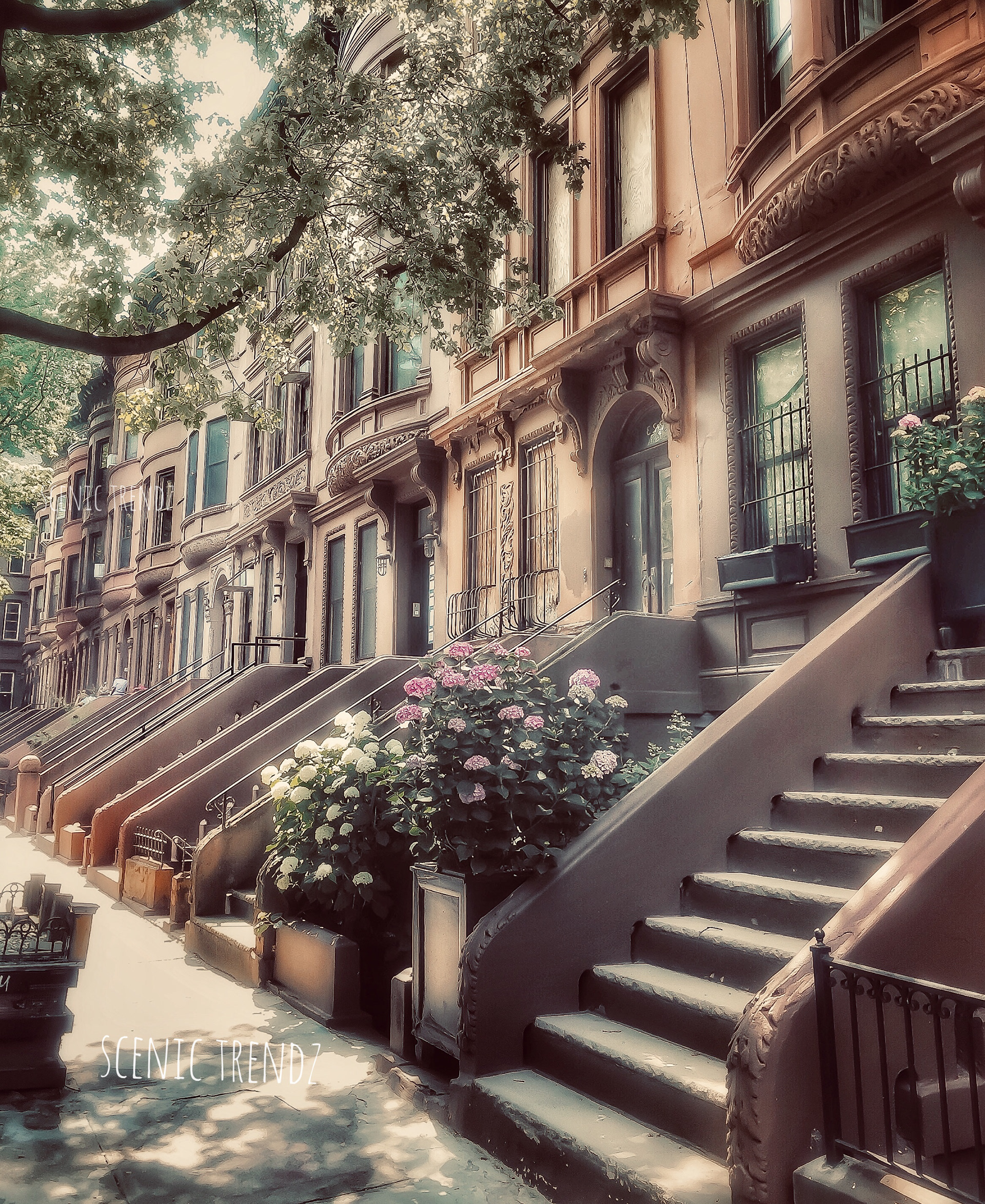 A row of brownstones in Harlem (Taken in summer 2020) 