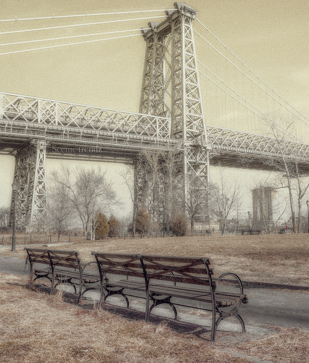 Williamsburg bridge taken from East River Park (Taken in winter 2018)